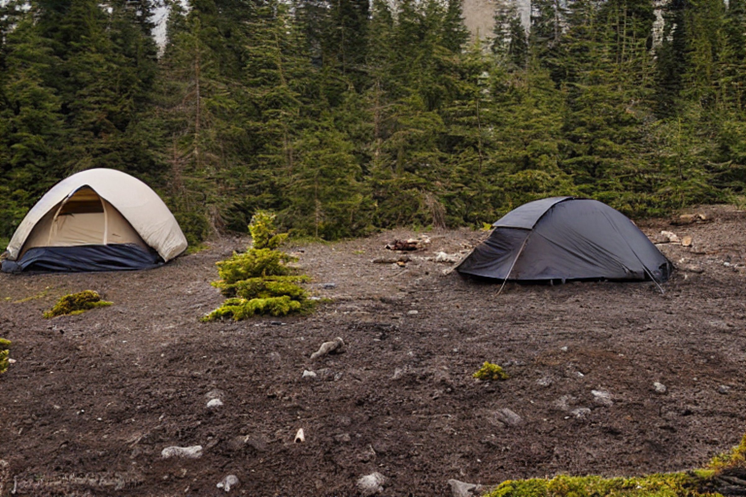 A black tent rests on a quiet dirt campsite beneath foggy mountain peaks. Nearby, a warm campfire glows among stone-ringed logs, with a large fallen log beside it.