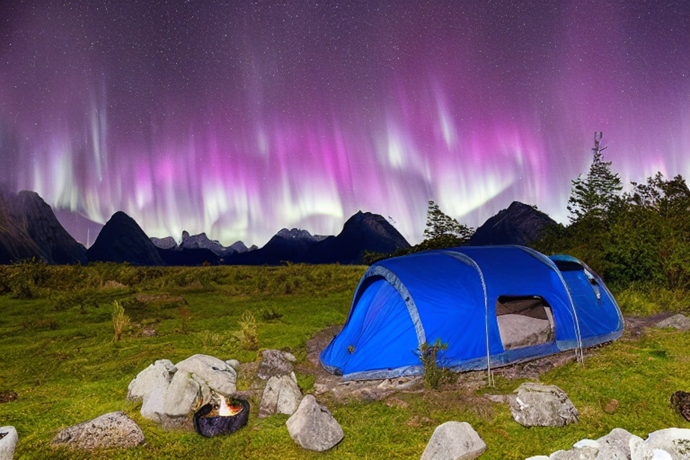 A gray-blue tent rests on a quiet dirt campsite beneath bright green and blue northern lights. Large bushes surround the gravel ground, while the clear night sky shines over Milford Sound.