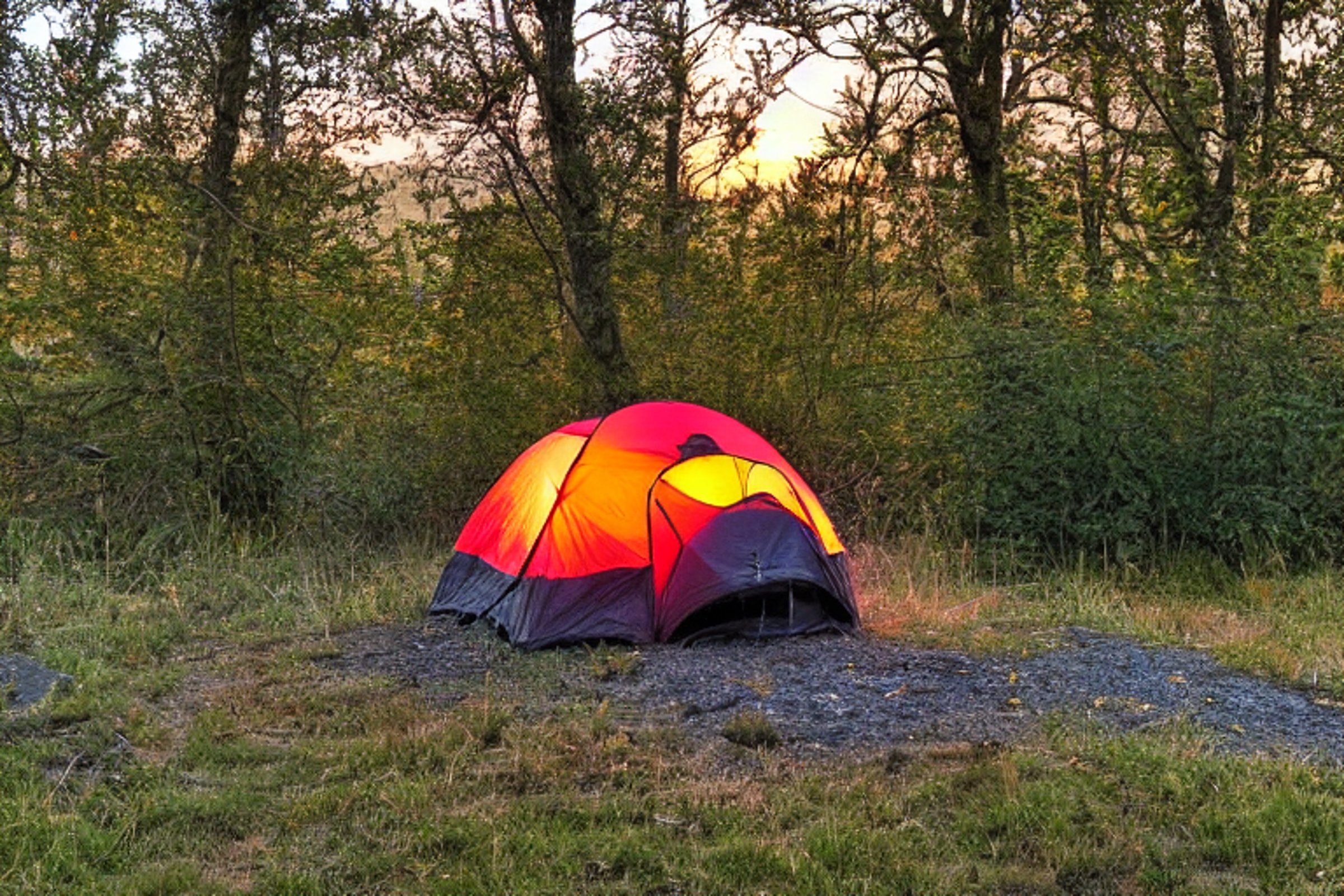 A black tent rests on a quiet paved campsite beside a clear creek. A glowing lantern lights the dirt patch, while berry bushes and fallen leaves add charm. Soft sunset colors shine over the mountains beneath a clear sky.