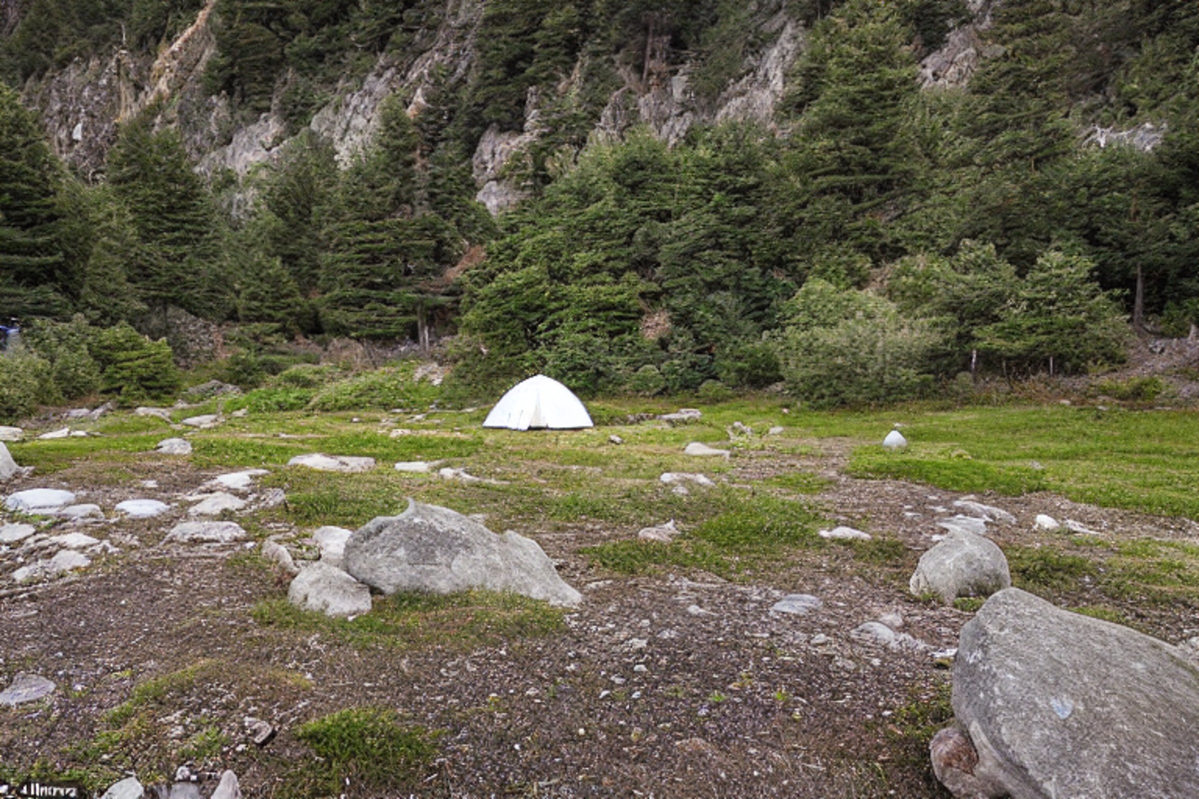 A white tent rests beside a paved campsite in Big Sur as rain falls softly around it. A small stream winds past large stone slabs, while a deer stands in the distance beneath the rising moon. Sunset light gives the misty scene a calm, magical glow.