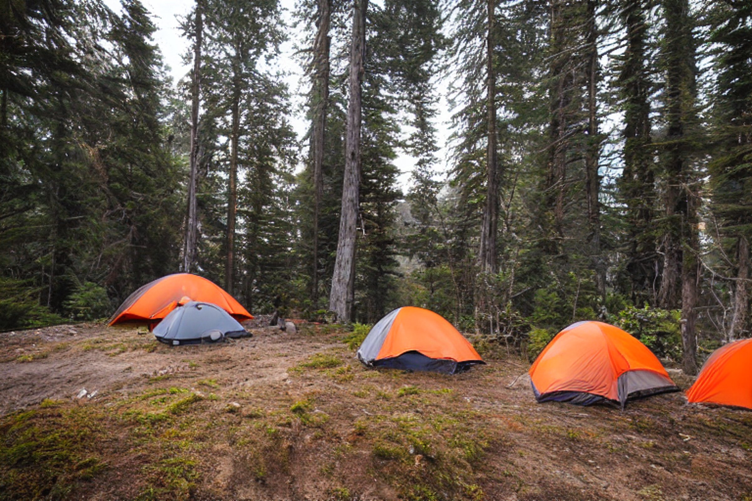 A gray and orange tent rests on a rocky campsite in Big Sur. A warm campfire glows beside the dirt clearing as the sun rises over the small trees. In the distance, a person shines a flashlight beneath the clear morning sky.
