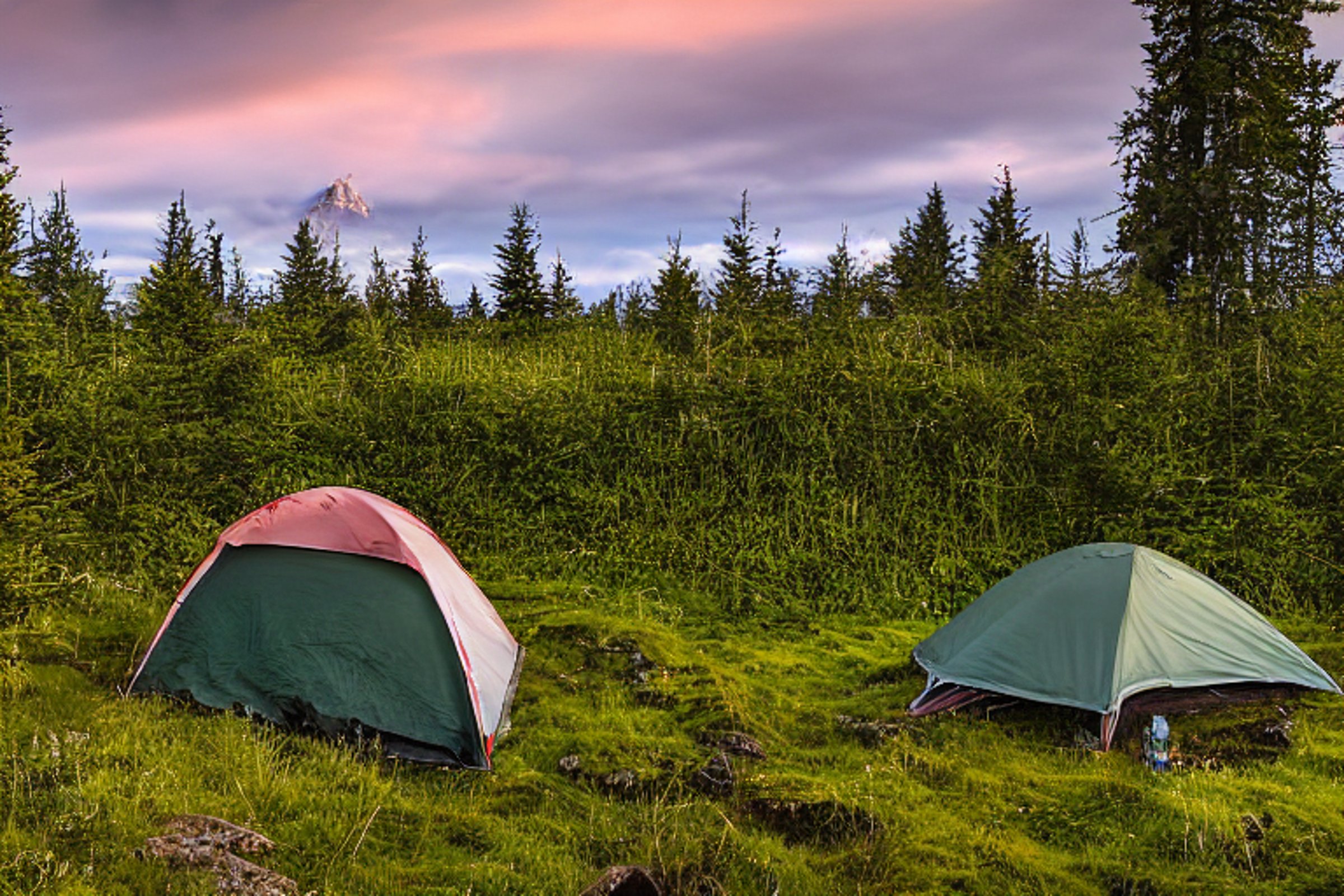 A forest-green tent rests on a paved campsite in Iceland, surrounded by rough land and soft ferns. A backpack sits nearby as hikers enjoy the quiet sunrise beneath a clear sky.