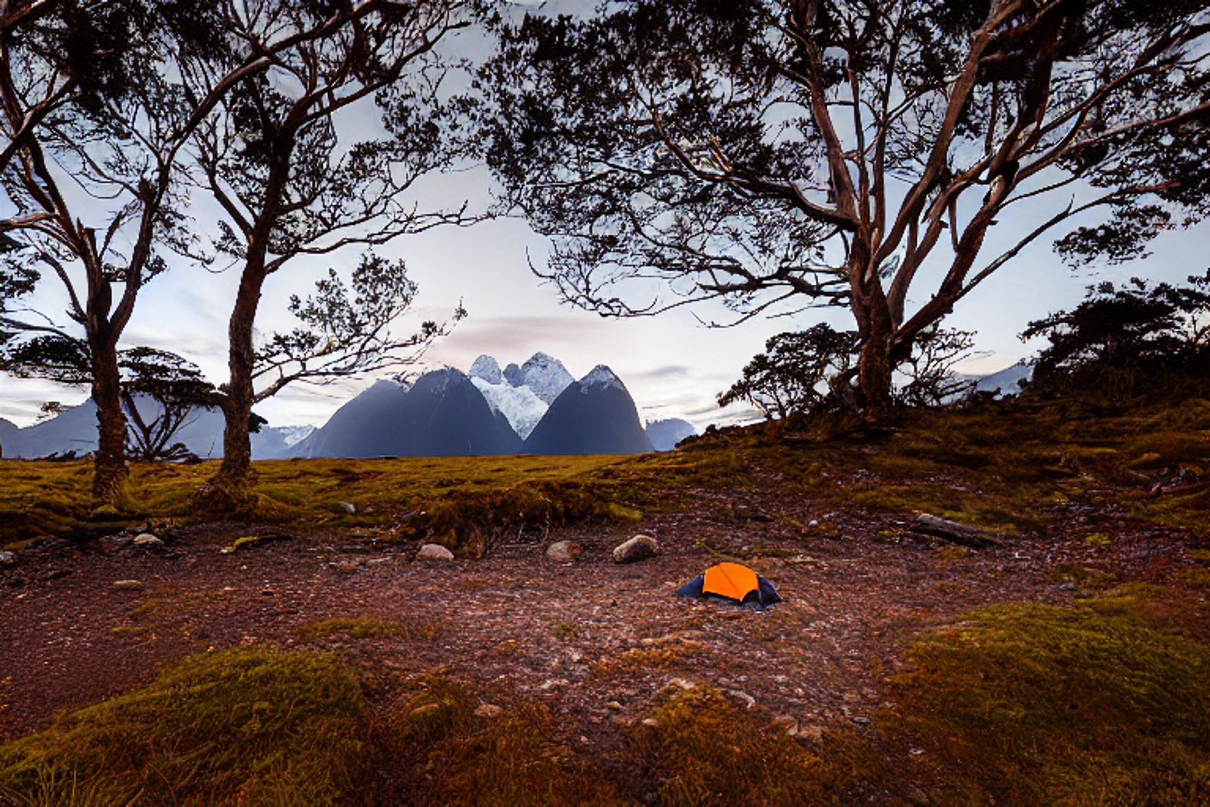 A bright red tent rests on a paved campsite in Milford Sound as snow falls softly at sunset. Large rocks, berry-covered bushes, and a wooden guitar add charm to the quiet mountain setting.