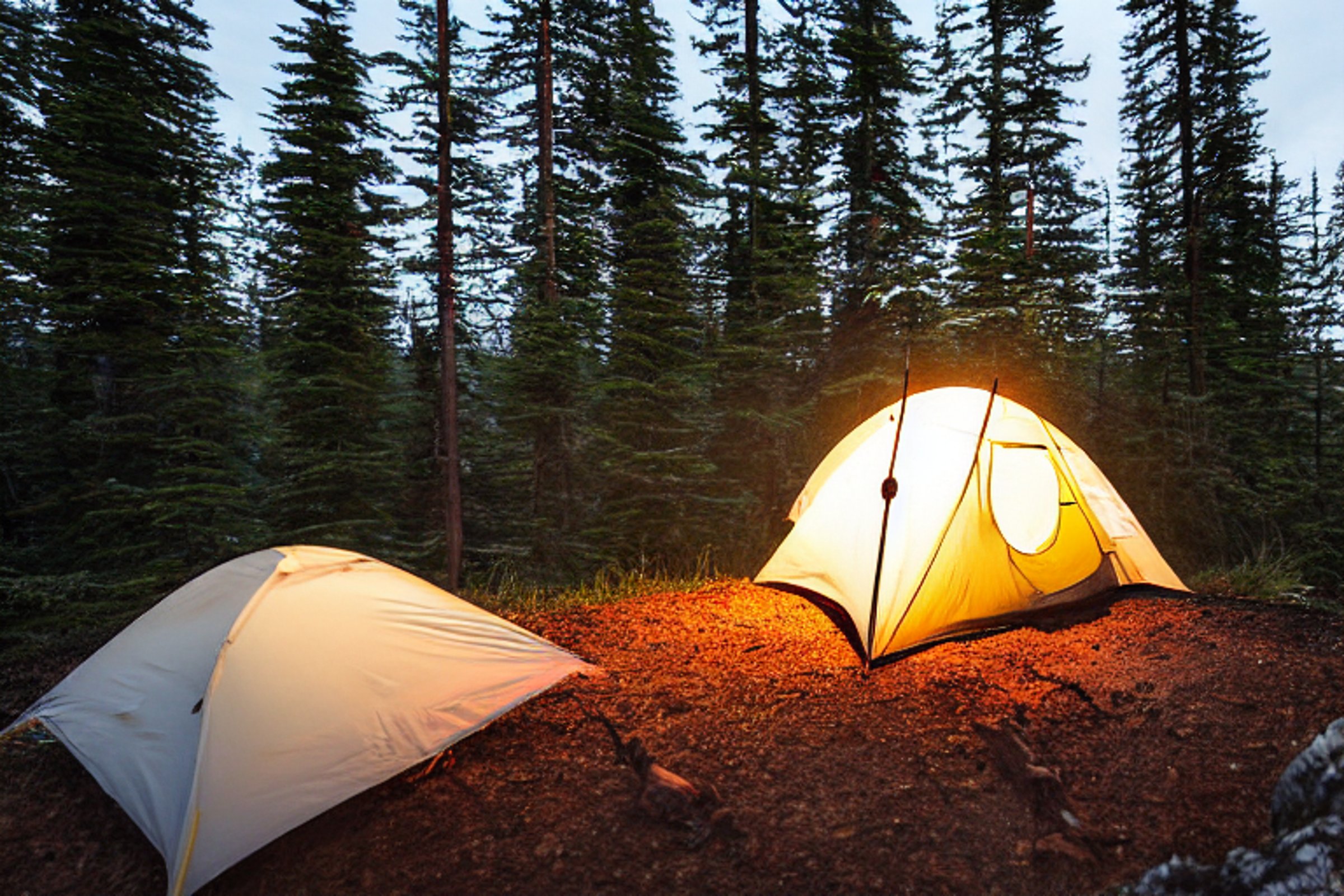A white tent glows softly beside a warm campfire on a rocky patch of ground. A large log, camping gear, and dark trees surround the site as stormy skies roll overhead.