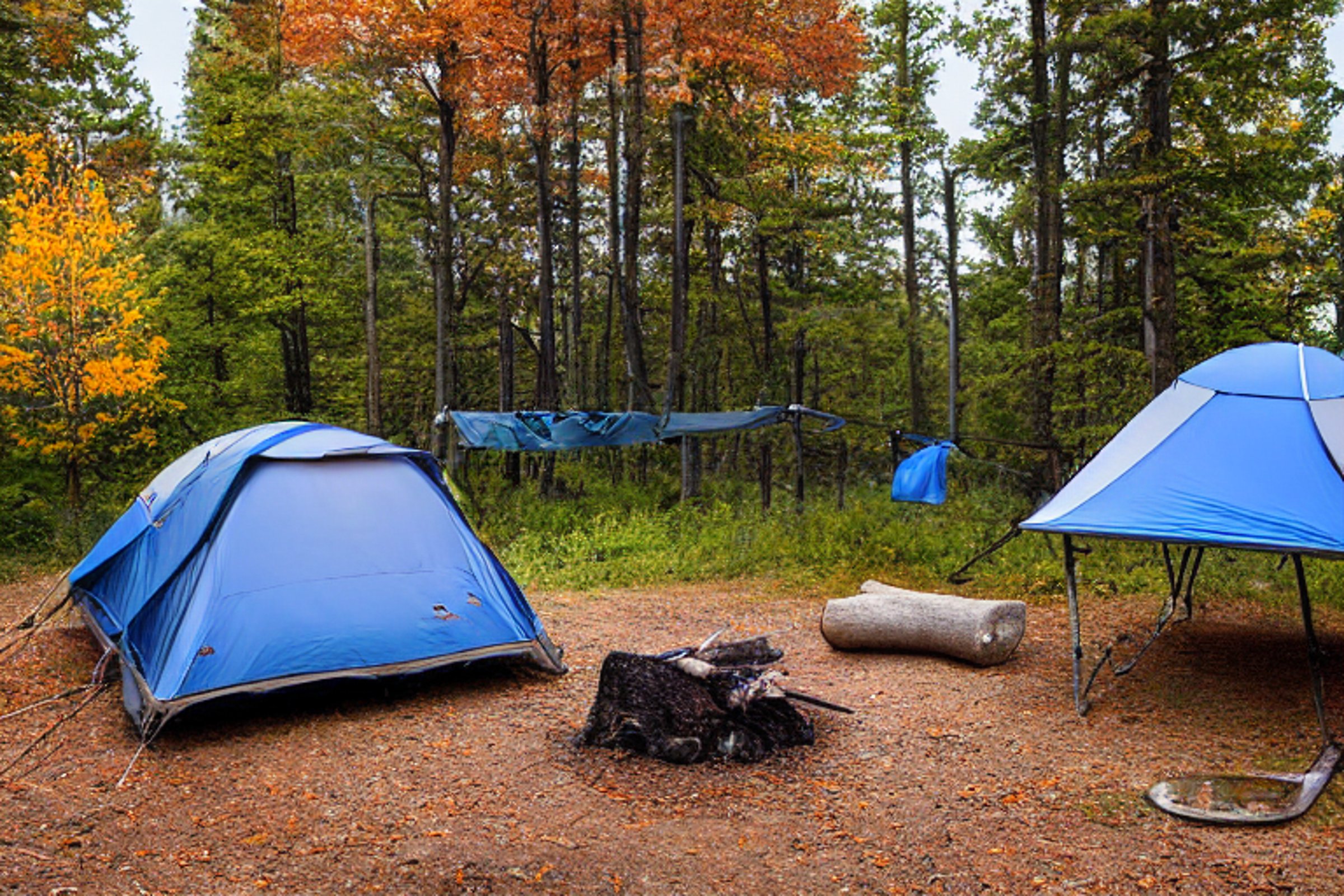 A gray and blue Subaru rests beneath bright fall trees in an Upstate New York campsite. A rooftop tent, clothesline, and warm campfire create a cozy place to relax. Leaves cover the ground, with a large log nearby under the clear sunset sky.