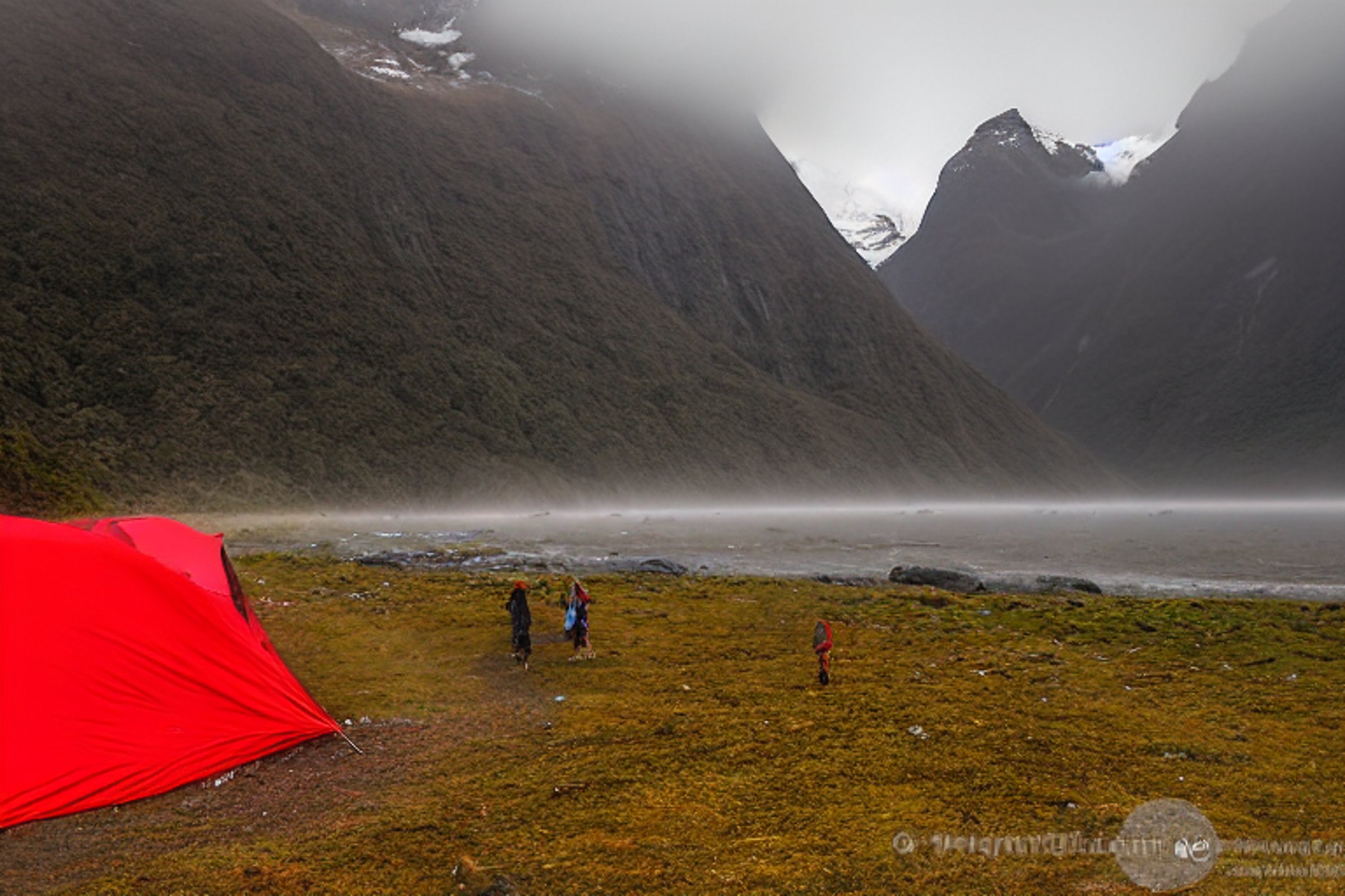A bright red tent rests on a paved campsite in Milford Sound as soft sunrise light shines through the fog. Hikers and surfers explore the dirt paths around the quiet, rugged landscape.