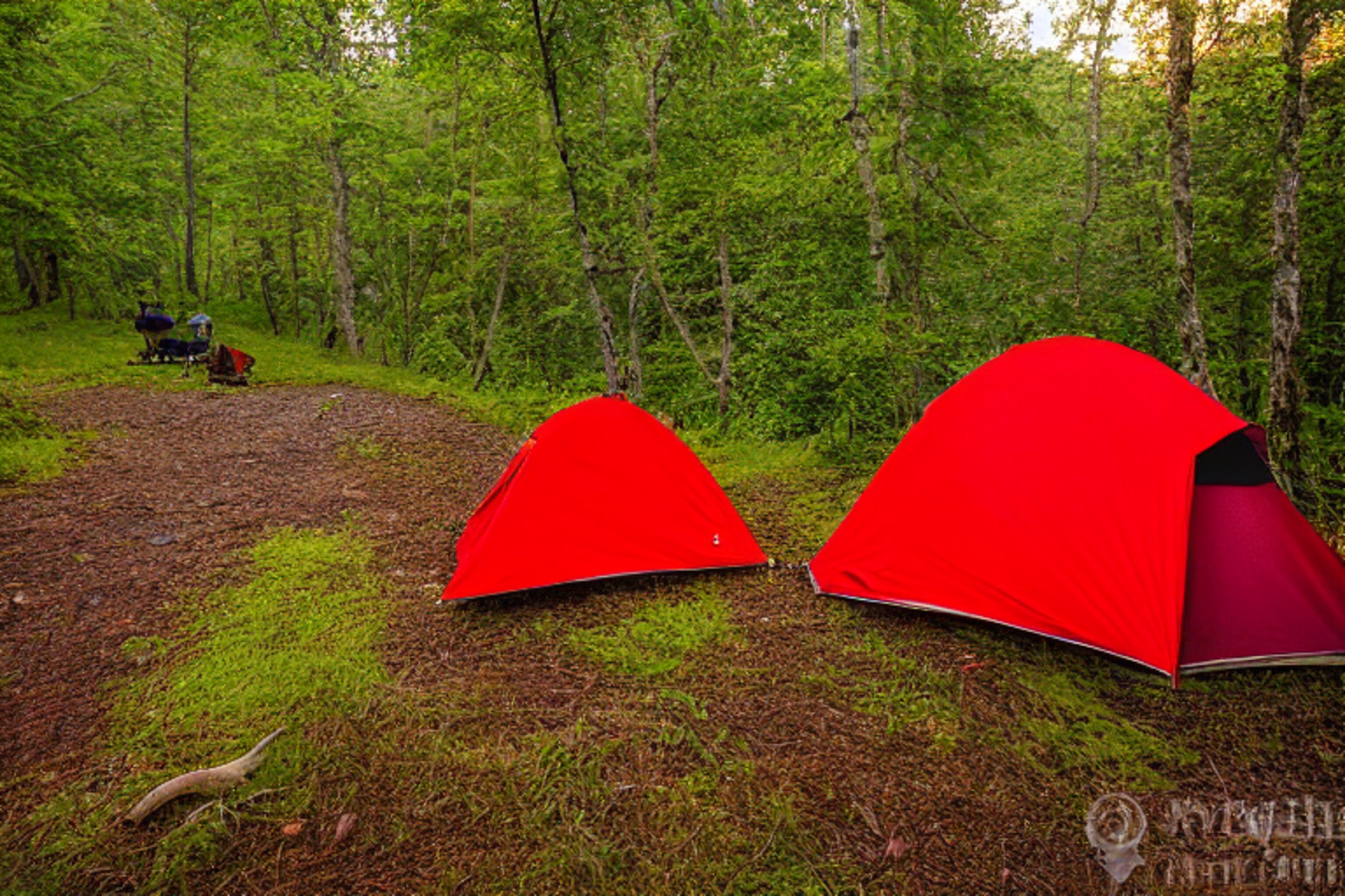 Two red tents sit beside a warm campfire in the foggy Smoky Mountains. Ferns frame the dirt campsite, while a winding trail leads toward a distant hiker and deer. Golden light makes the peaceful forest glow.
