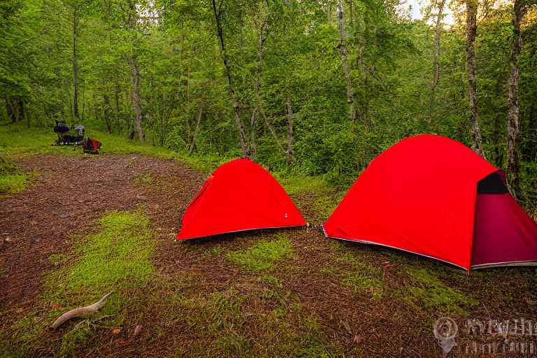 Two red tents sit beside a warm campfire in the foggy Smoky Mountains. Ferns frame the dirt campsite, while a winding trail leads toward a distant hiker and deer. Golden light makes the peaceful forest glow.