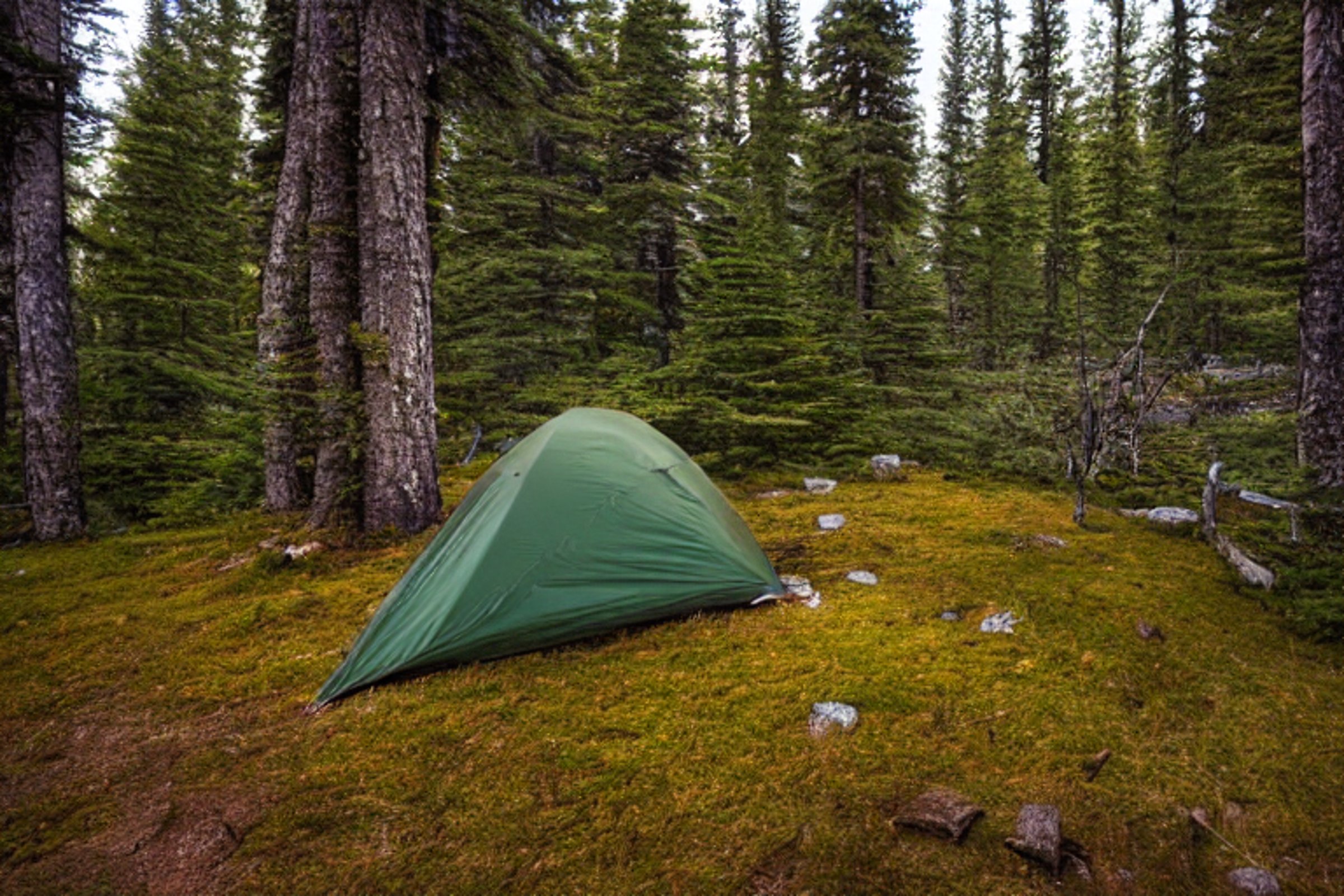 A green and tan tent rests in a quiet Banff forest beneath a starry night sky. A warm campfire glows beside a large log, backpack, and mossy trees dressed in fall colors. Light rain makes the peaceful campsite feel fresh and cozy.