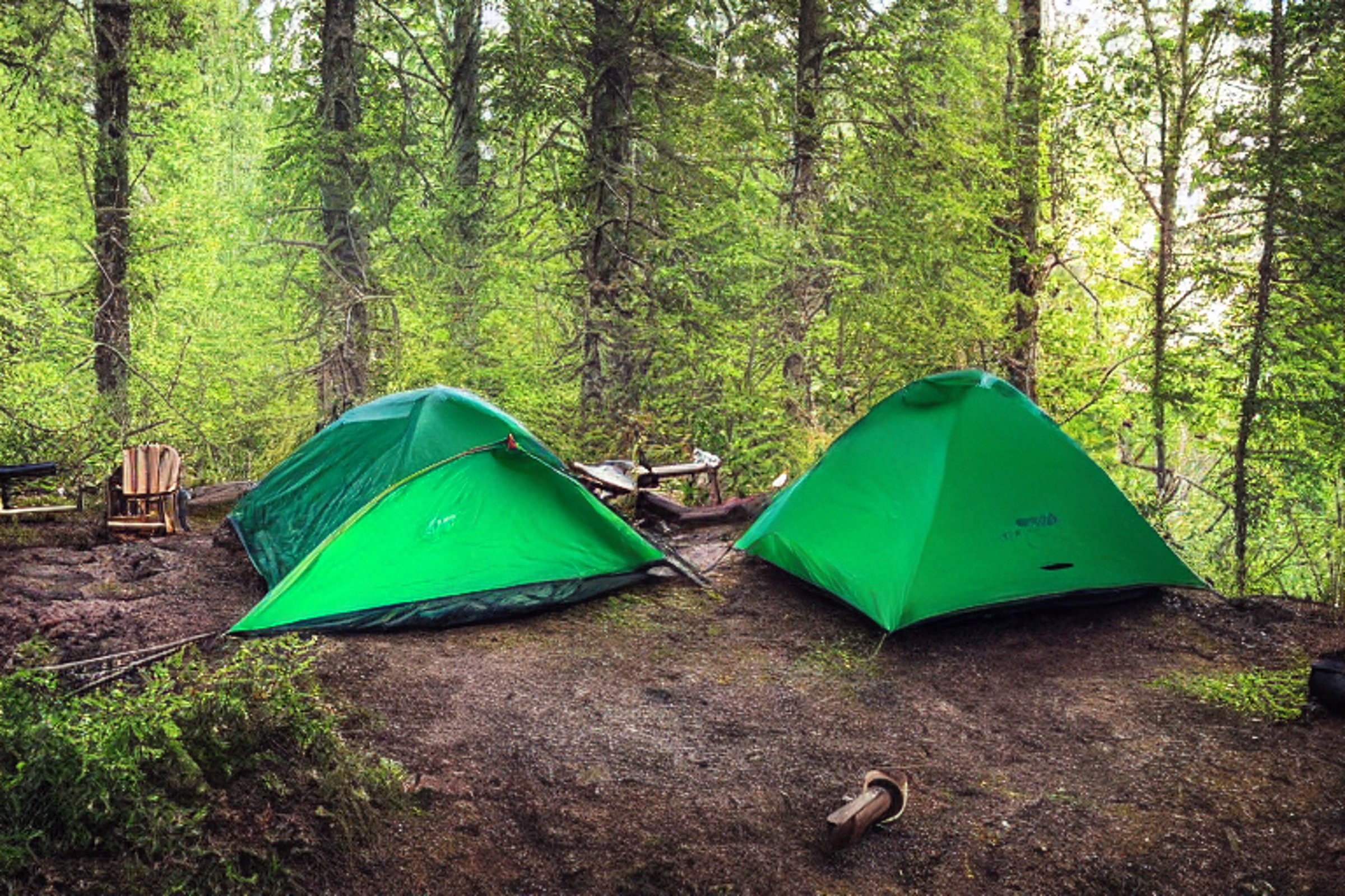 A green tent rests beside a quiet creek in a misty forest. A warm campfire glows between wooden logs, with chairs nearby. Above the campsite, bright northern lights shimmer across the night sky.