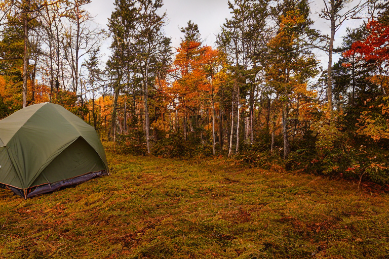 A green and tan tent rests on a quiet paved campsite along the Maine coast. Fall-colored trees, smooth boulders, and patches of stone gravel surround the camp, while hikers enjoy the cool, cloudy sunset.