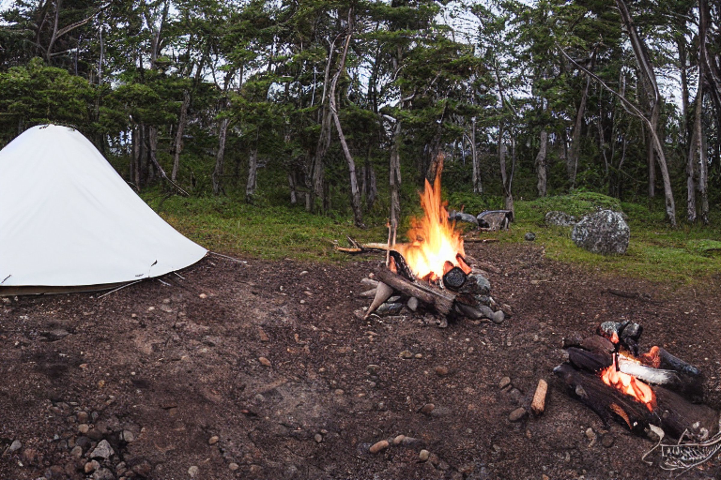 A white tent rests on a quiet dirt clearing, with a stone-ringed campfire and a wooden guitar nearby. Snowy boulders surround the campsite, while a deer stands in the distance.
