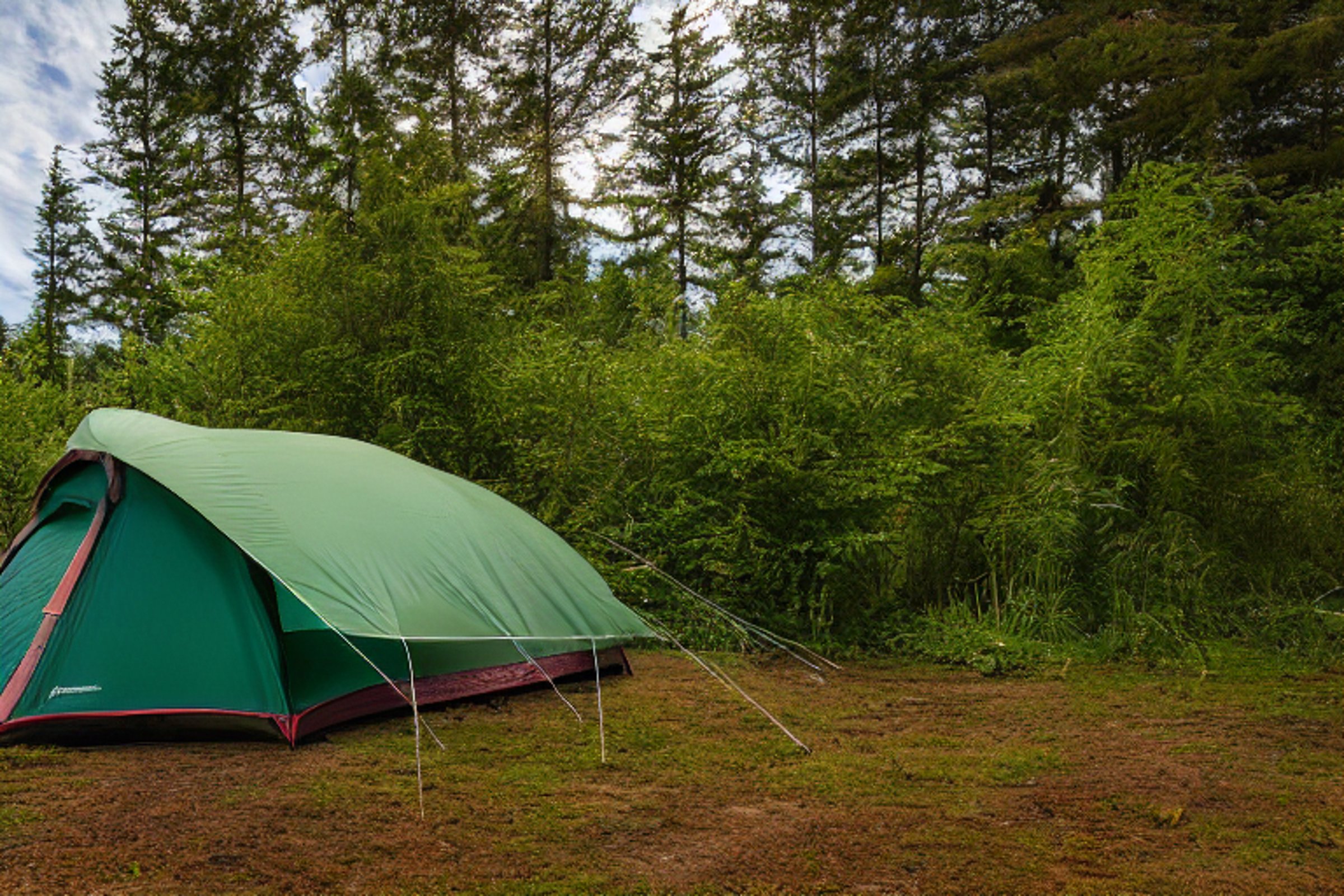 A forest green tent rests on a dirt patch in an overgrown forest. Ferns, rough ground, and a small wooden twig surround the paved campsite. In the distance, a mountain rises beneath a clear sunset sky.