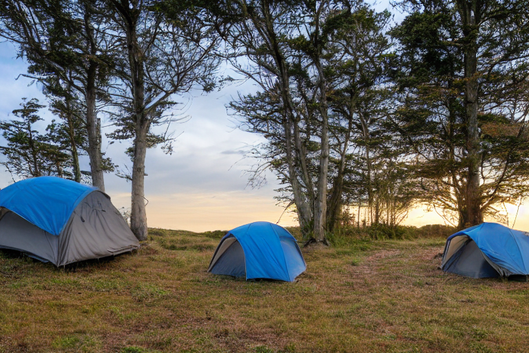 A gray and blue tent rests on a quiet beach campsite as the sun sets over the ocean. A dirt path winds through the rolling hills, with fallen leaves scattered around. A lone deer stands in the distance beneath the cloudy sky.