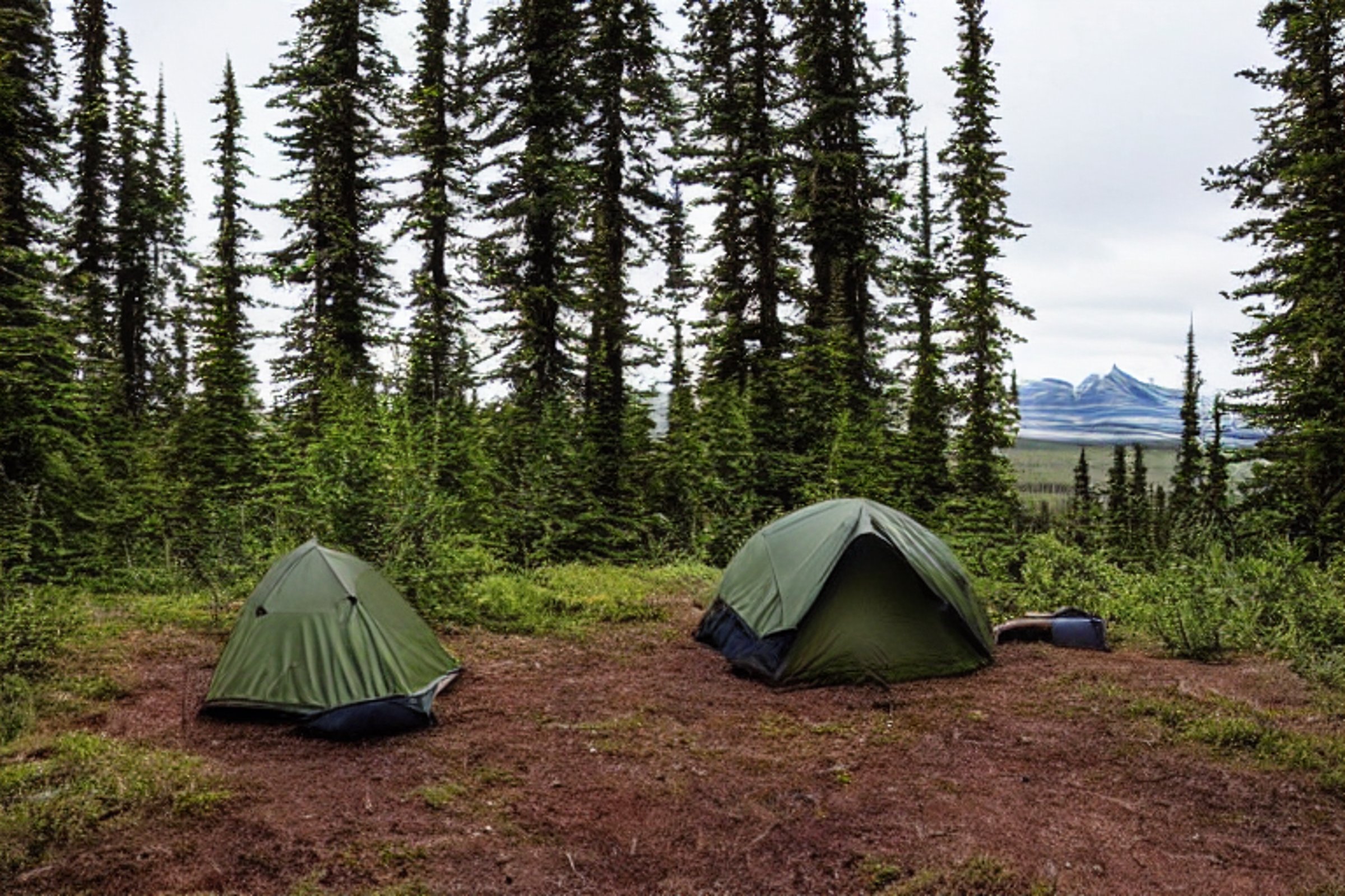 A green camo tent rests in the quiet Alaska wilderness beneath glowing northern lights and cloudy skies. A warm campfire flickers beside a hiking path, while deer wander in the distance.