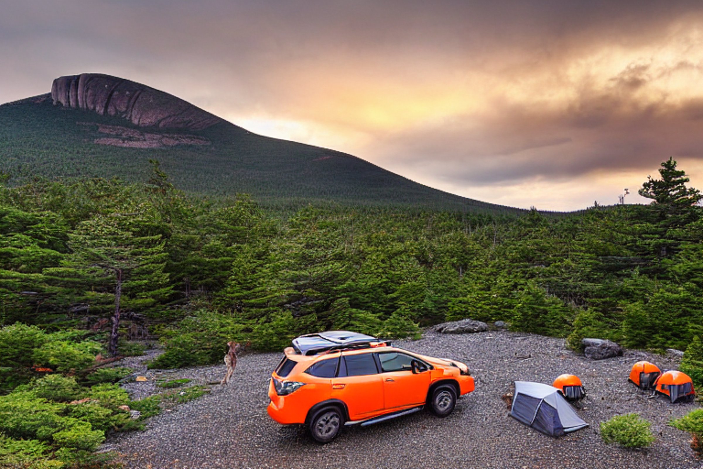 A gray and orange Subaru rests at a quiet campsite beneath tall trees in Acadia National Park. Its rooftop tent is open as soft golden light shines through the rainy air. A large rock, muddy ground, and a distant deer add to the peaceful wild setting.