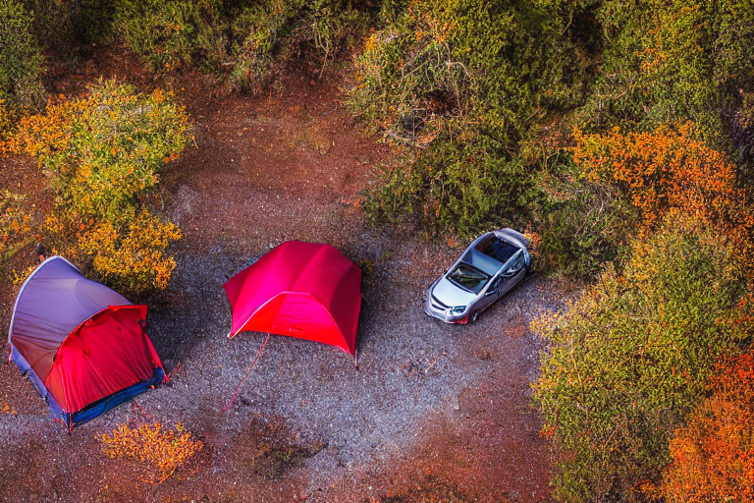 A red Subaru with a cozy rooftop tent rests at a rainy California coast campsite. Camp chairs and a warm fire sit on the rocky ground, while colorful fall trees glow in the soft sunrise.