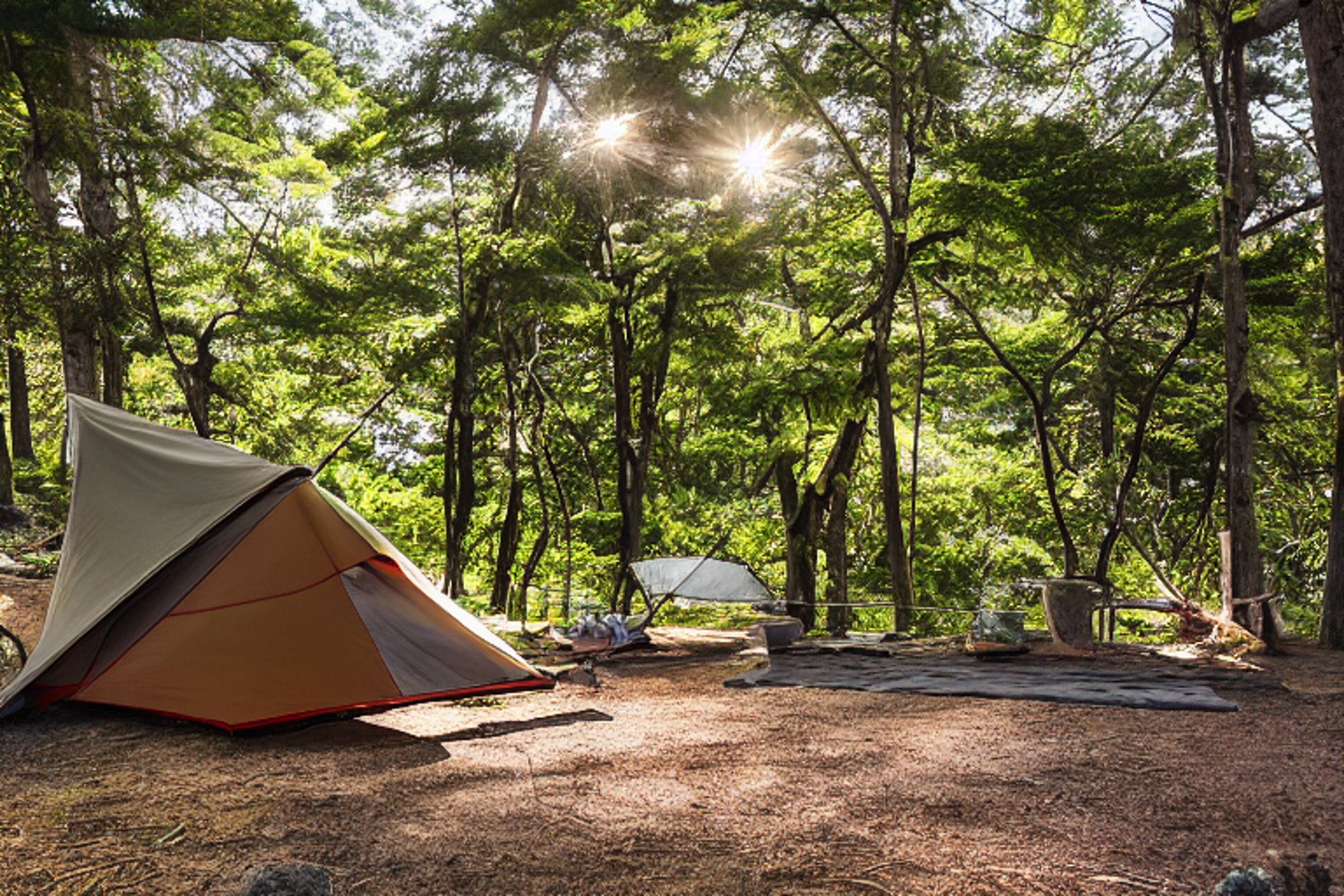 A cozy tent rests on a sunny paved campsite in Miyajima, Japan. Tall trees shade a hammock, while a dirt trail winds nearby and clothes sway on a line. Morning light fills the peaceful outdoor scene.