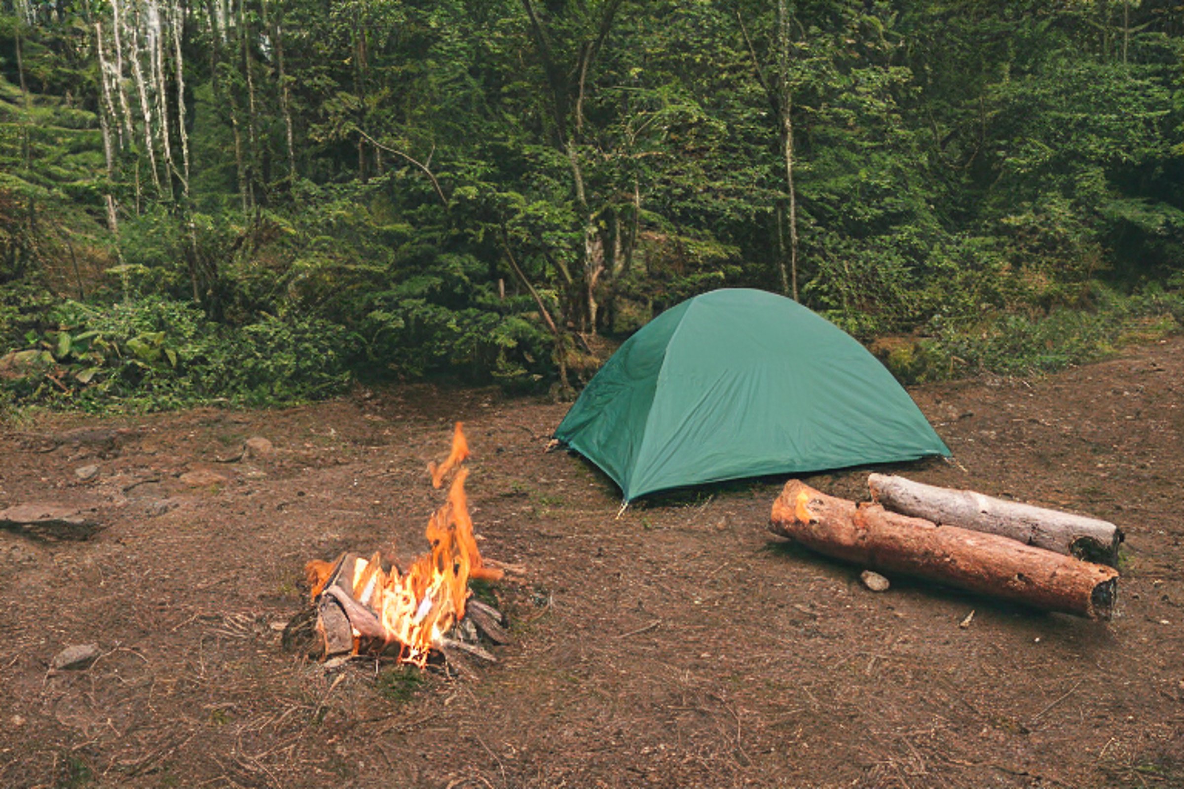 A green and tan tent rests on a dirt clearing beneath tall trees in Smoky Mountain National Park. A warm campfire glows beside a large log, while clothes hang on a nearby line. The clear sunset sky gives the campsite a peaceful, cozy feeling.