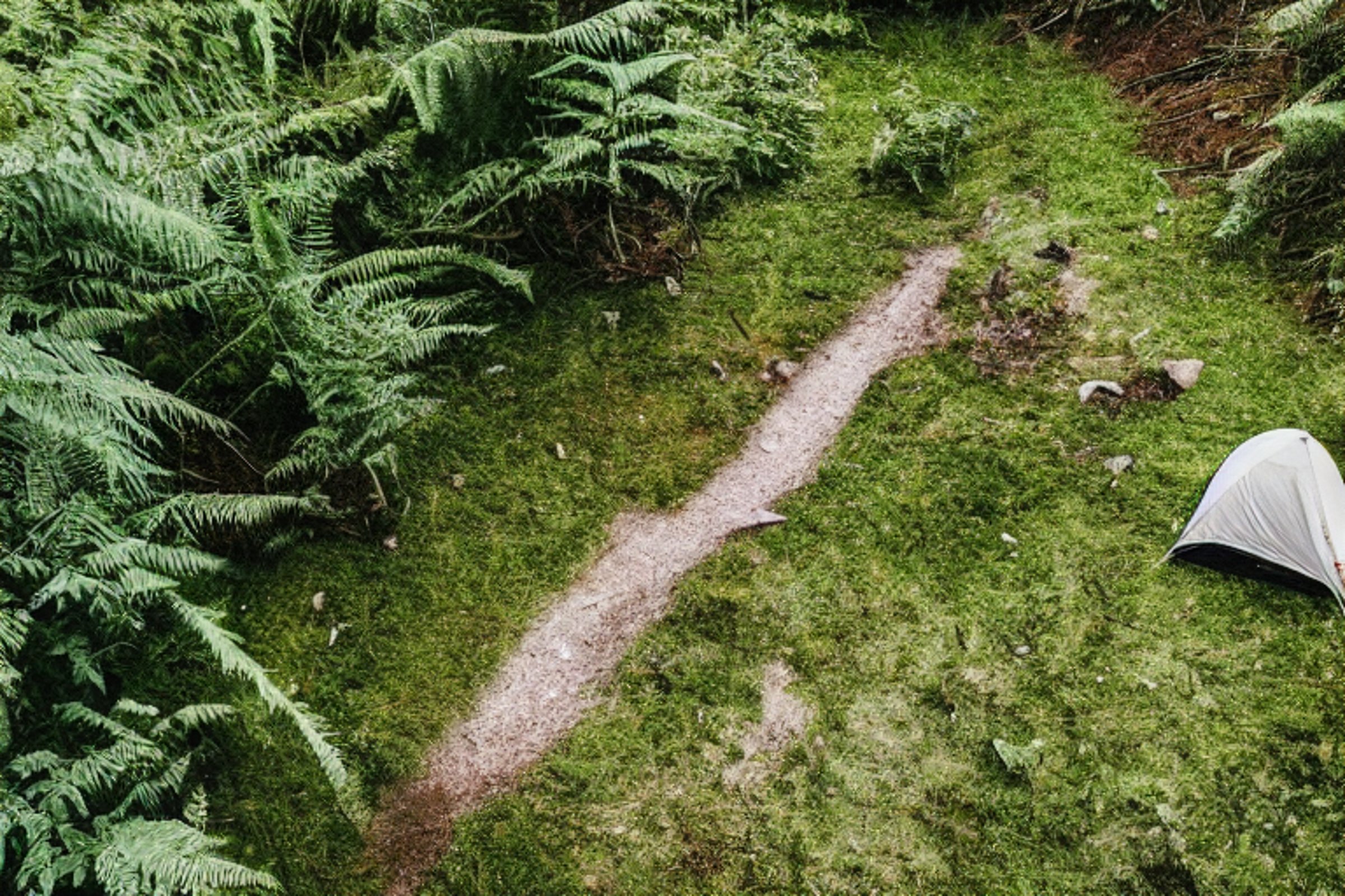 A green tent rests on a quiet dirt campsite beside a sparkling river. Ferns and patches of stone gravel surround it, while the rising sun fills the scene with warm light. A soft flashlight glow shines from inside the tent.