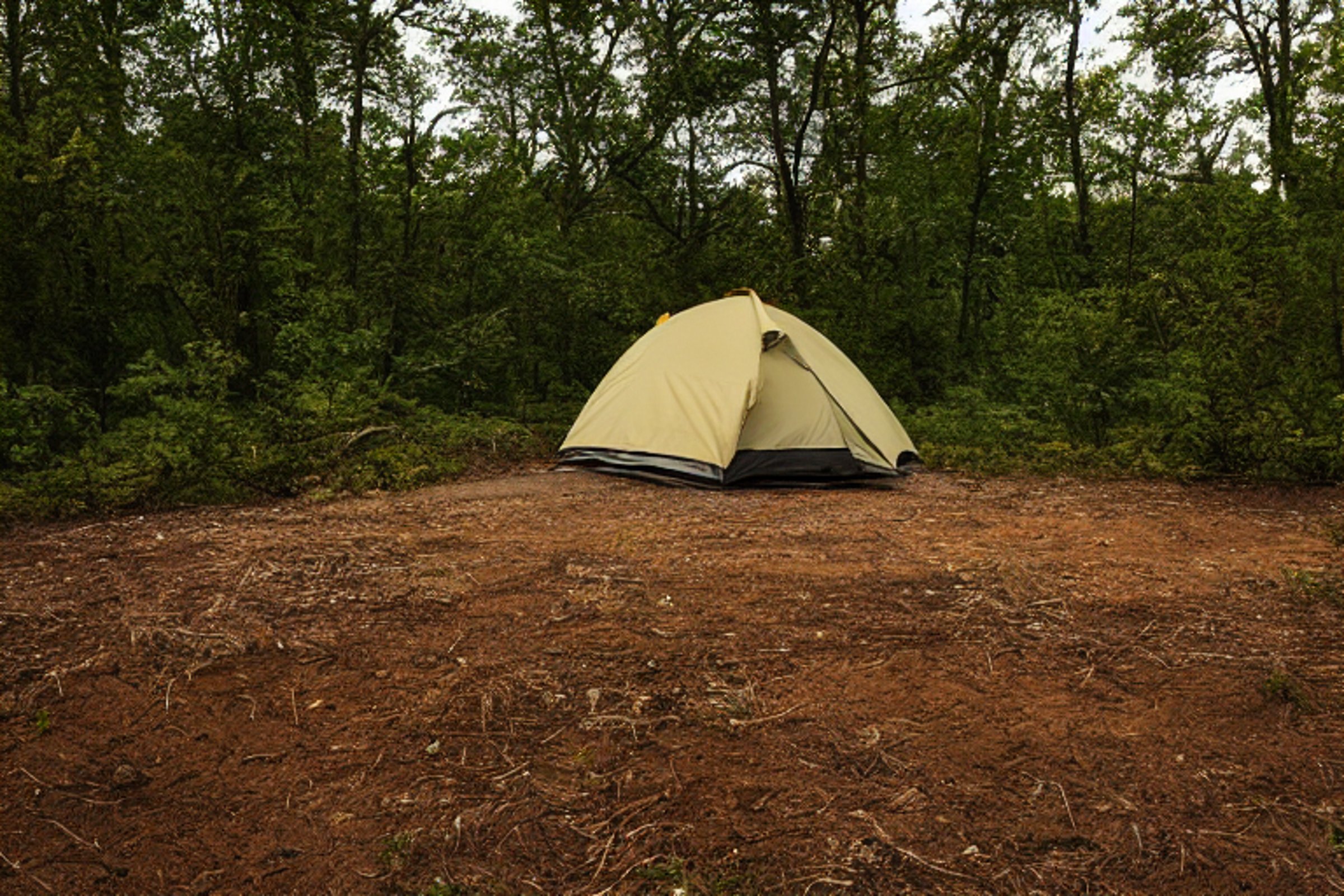 A cozy tent sits beside a glowing campfire under a star-filled, stormy sky. A clear stream winds through the campsite, with berry bushes, fallen leaves, and a dirt trail nearby.