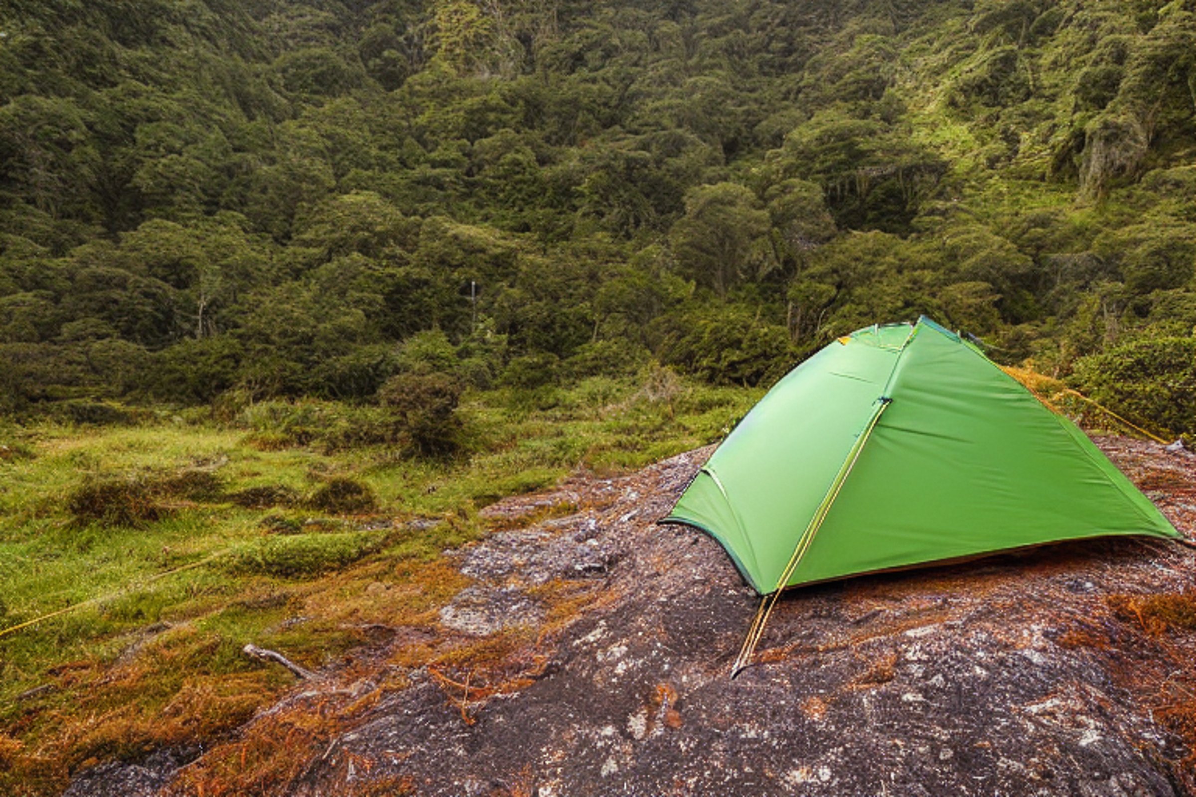 A green and tan tent rests on rocky ground in Milford Sound, surrounded by misty bushes and rugged hills. A small campfire and lantern add a warm glow to the rainy sunrise.