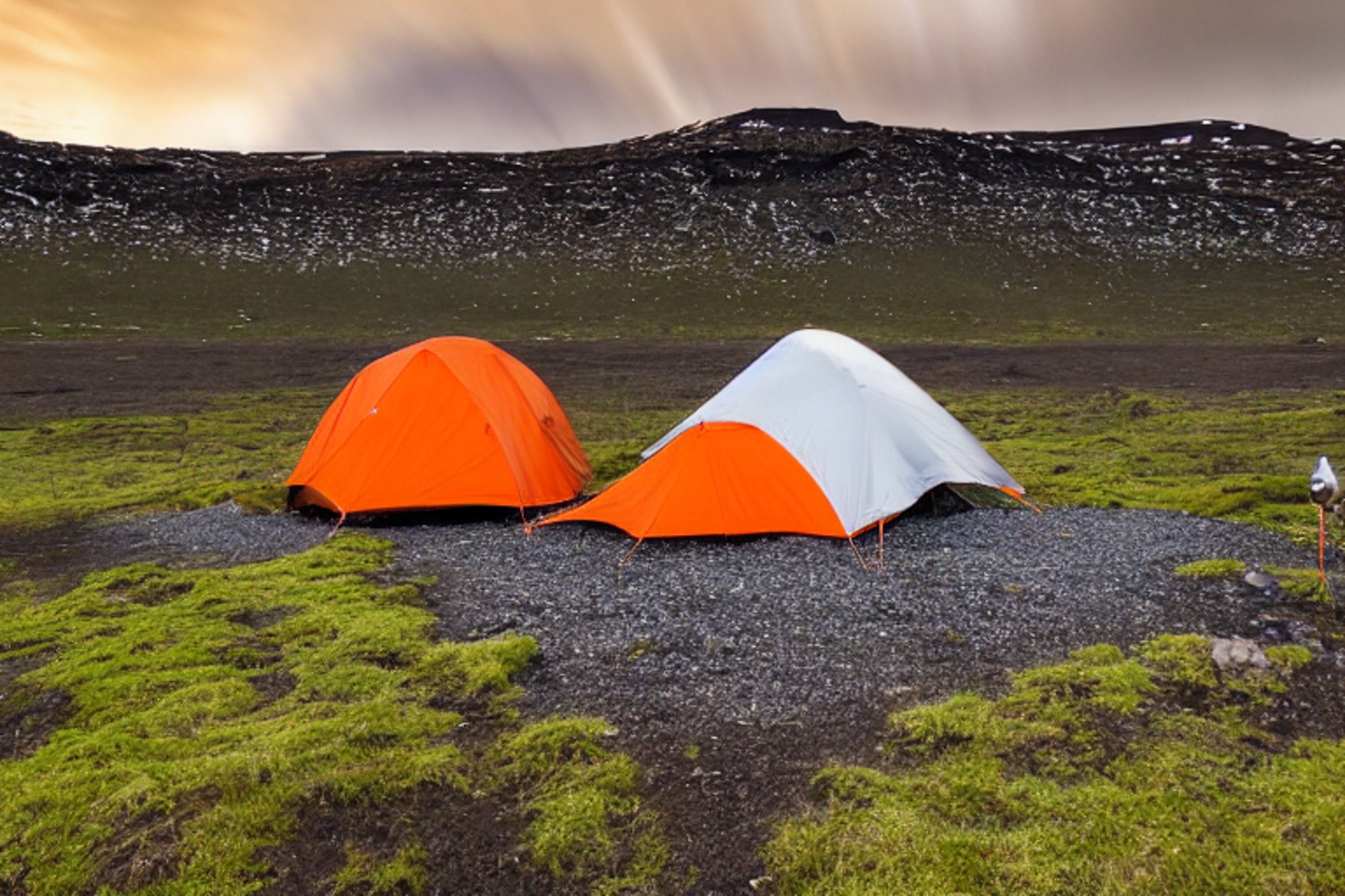 A gray and orange tent rests on a quiet campsite in Iceland. Above it, bright green and purple northern lights dance across the night sky. Flowers, tall trees, and a warm camping lantern make the scene feel peaceful and cozy.