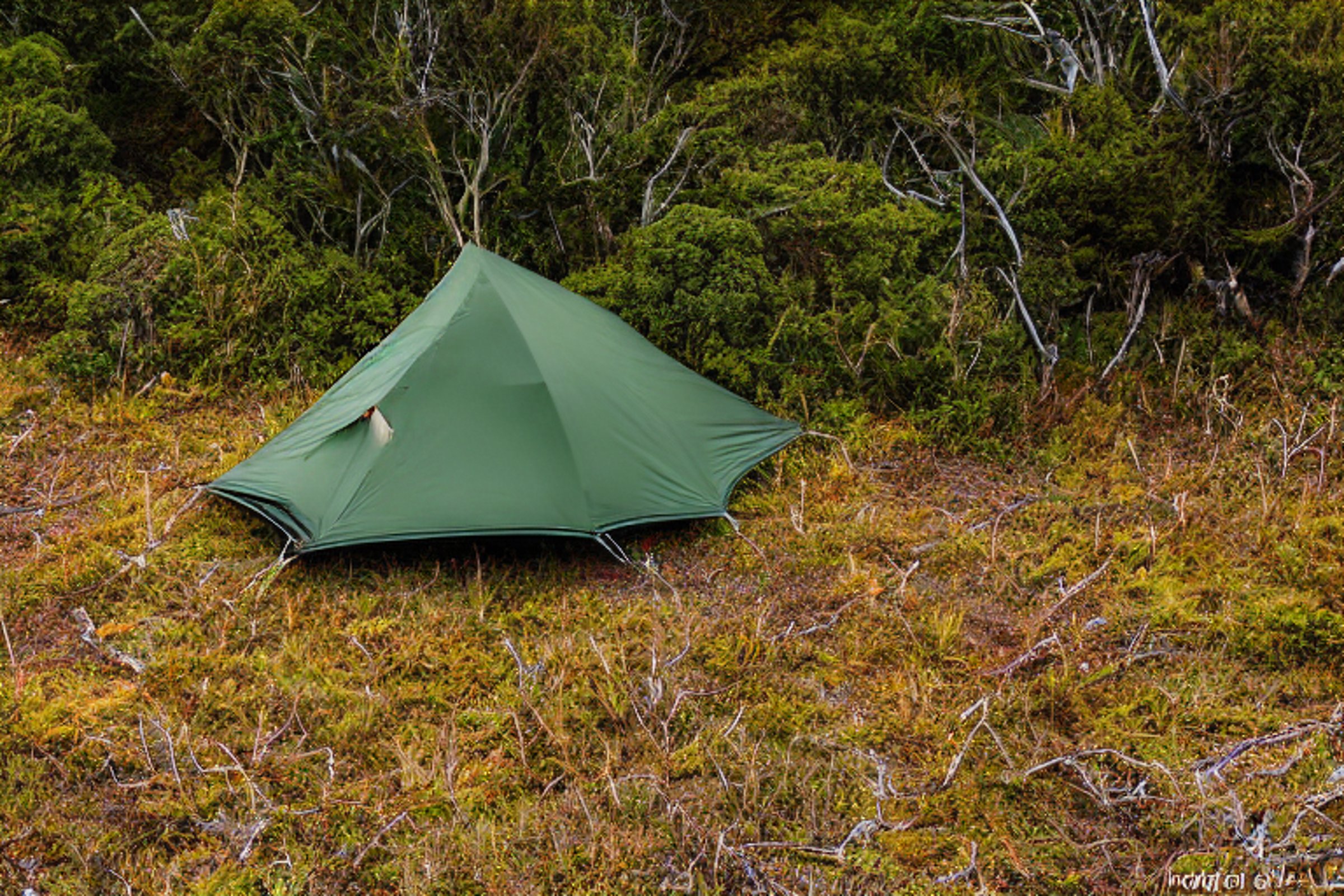 A green camo tent rests on a rocky campsite in Milford Sound. Bushes and fall-colored trees surround the area as soft sunset light shines through the clouds. A deer stands quietly in the distance.