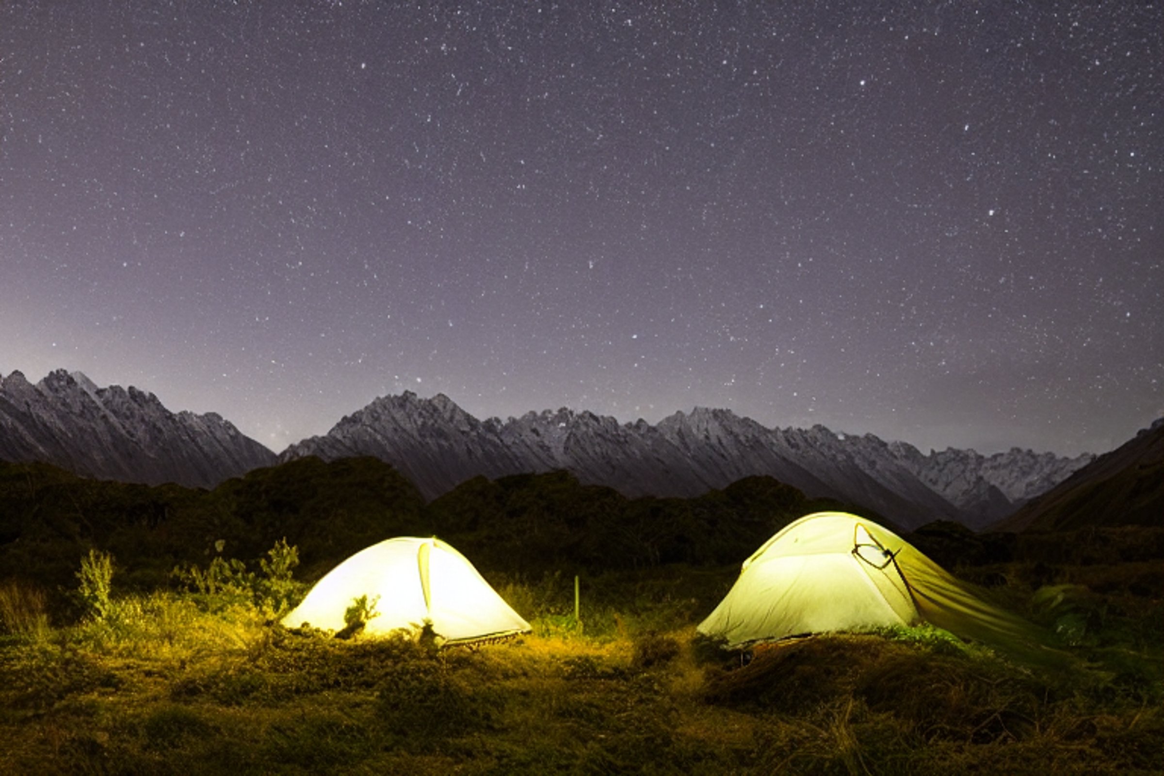 A forest-green tent rests beside a paved campsite in Mount Cook National Park. A hammock hangs between the trees, while small flowers grow around a patch of dirt. Under the cloudy dusk sky, a distant camper shines a flashlight through the peaceful forest.