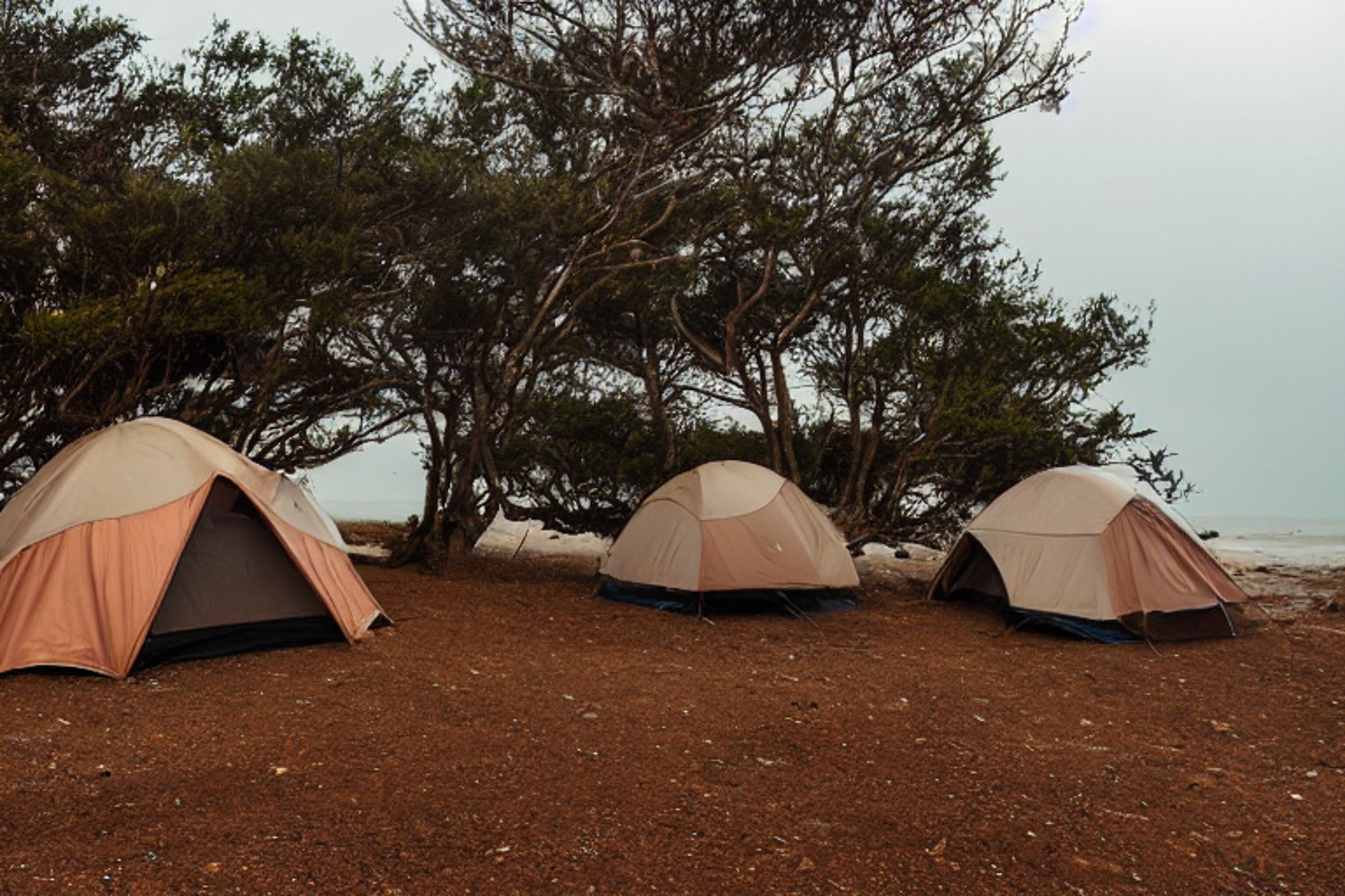 A brown tent rests beside a warm campfire on a rocky beach at dusk. Large bushes surround the rough, dirt-covered campsite, while the cloudy sky stretches over the ocean.