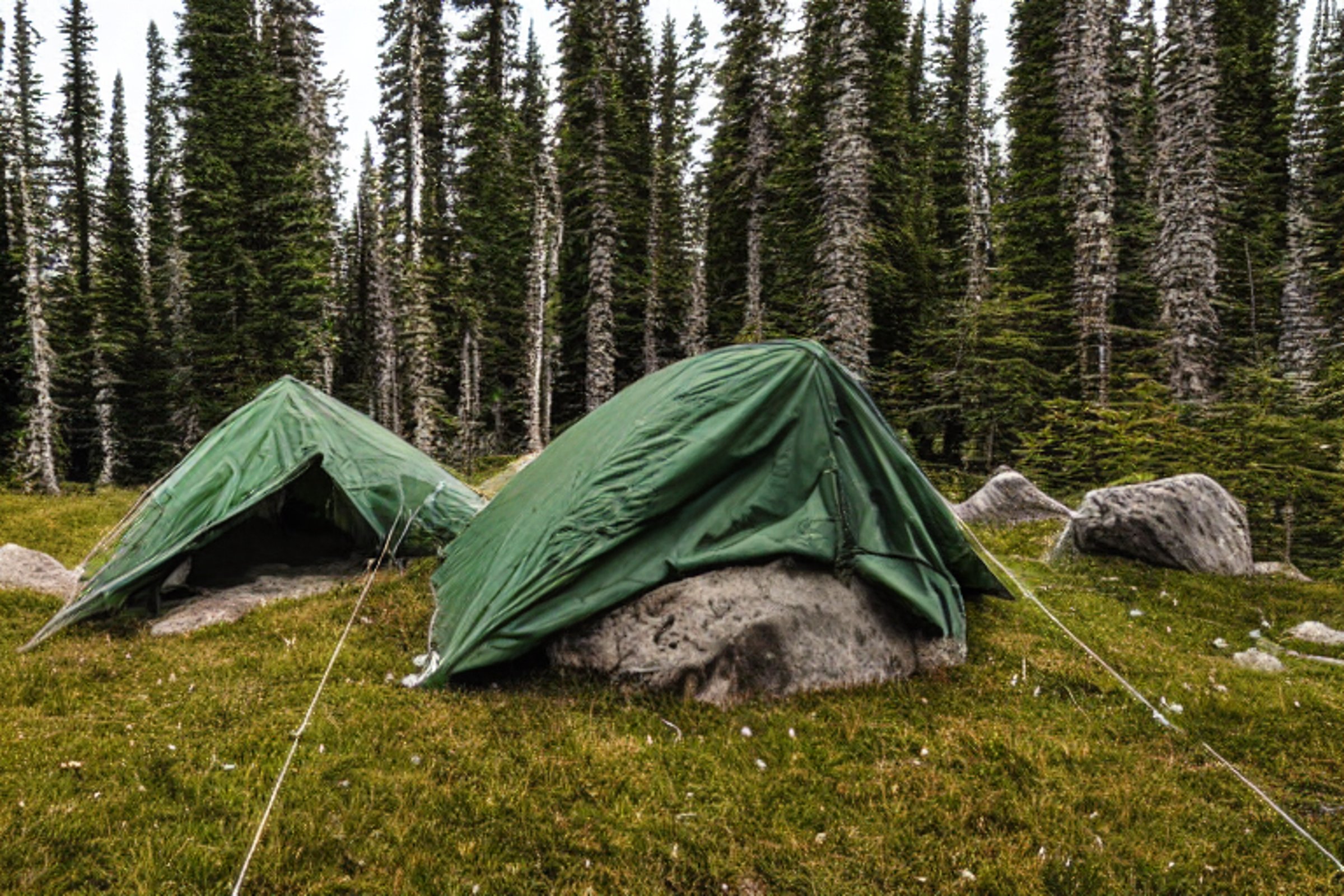 A green camo tent rests beside a quiet paved campsite in the snowy Alaska wilderness. Large stone slabs, tall grass, and a clothesline add rustic charm, while bright northern lights glow across the night sky.