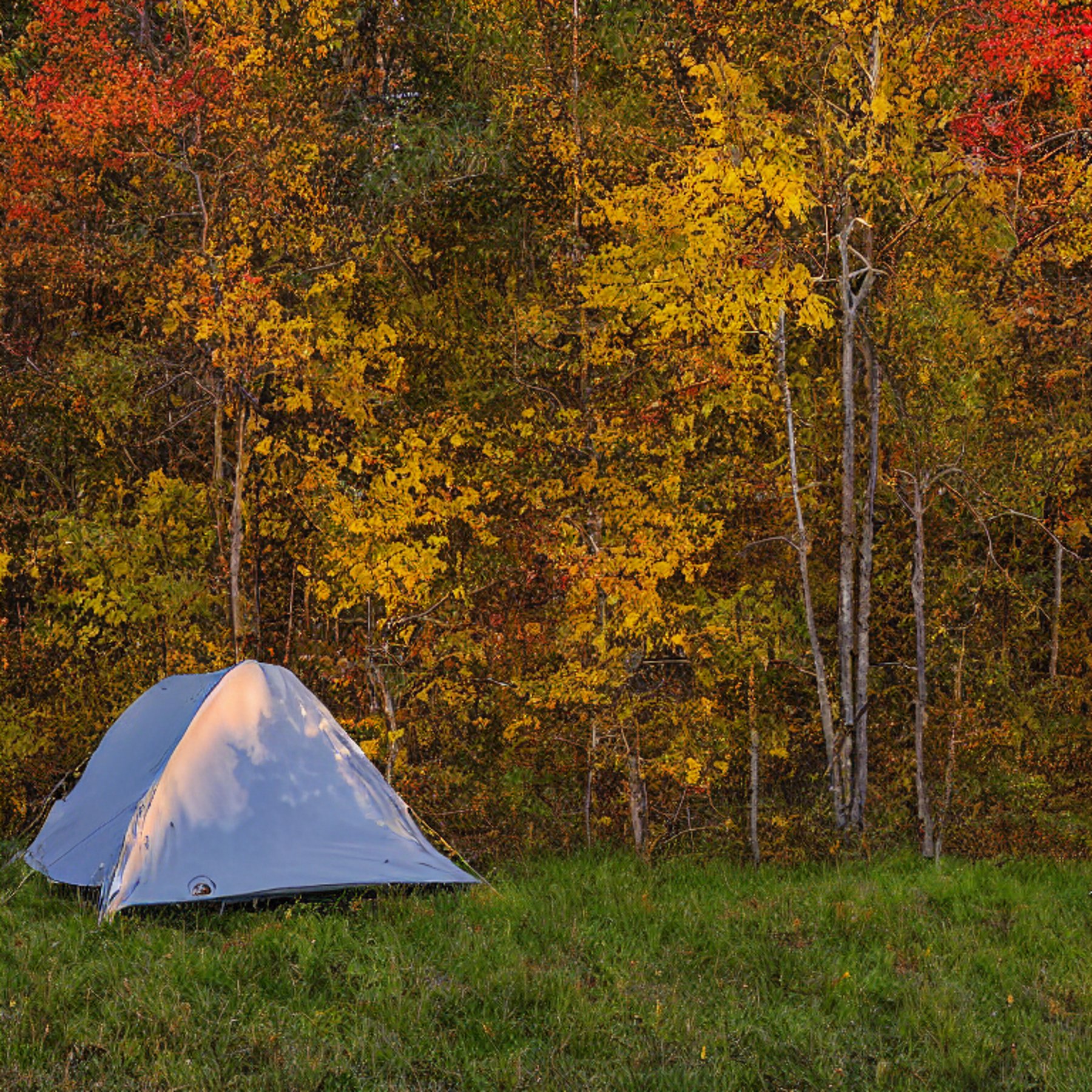 A cozy tent rests on a dirt campsite along Minnesota’s North Shore. Golden light shines through colorful fall trees, while large stone slabs and fallen leaves surround the site. A pale moon hangs in the rainy sky.