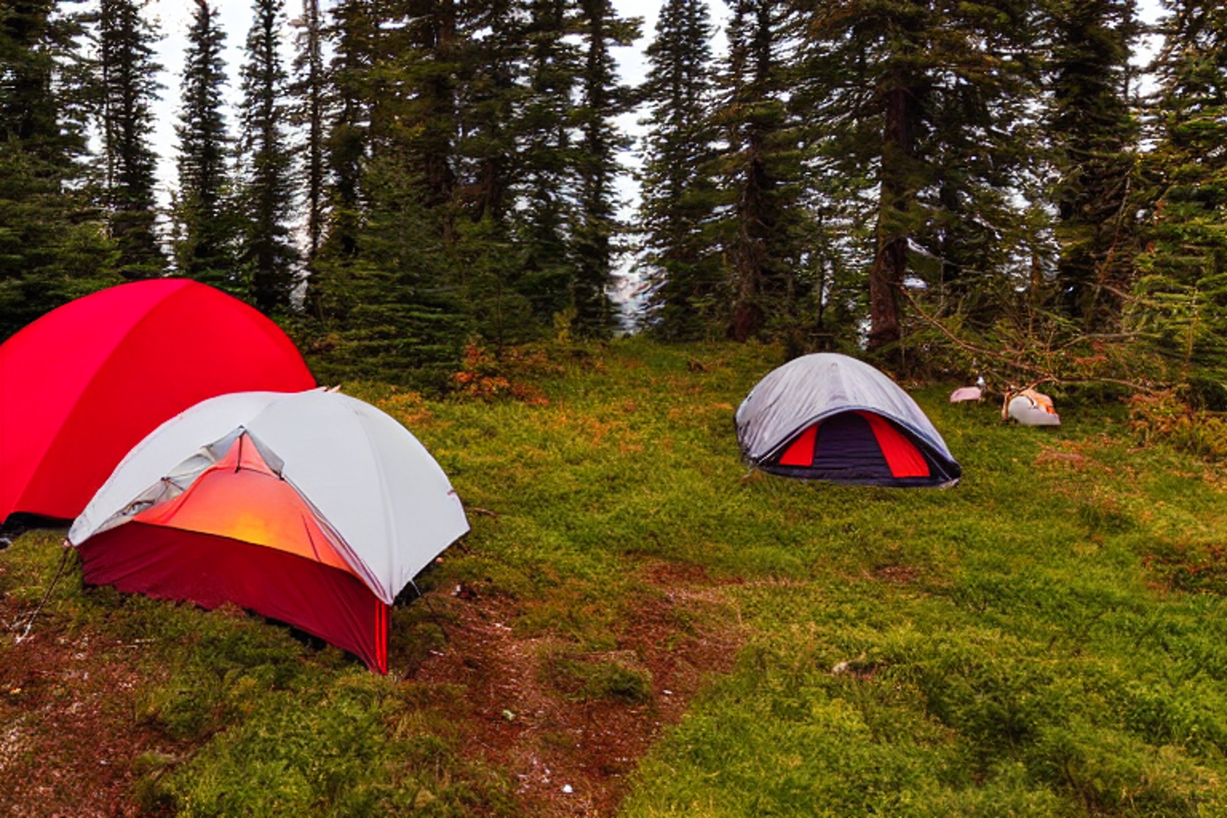 A red and white tent rests on a dirt clearing beneath colorful fall trees. Nearby, a stone-ringed campfire glows beside a cozy hammock, while berry bushes add a bright touch to the peaceful Washington woods.