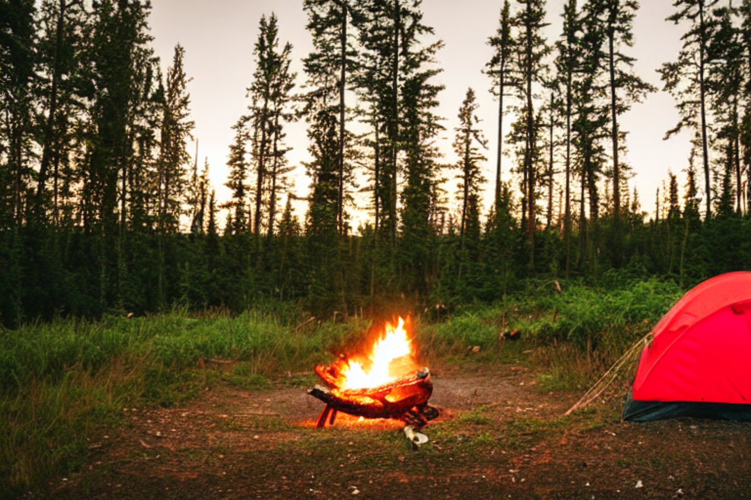 A red and white tent rests on a quiet dirt campsite in North Shore, Minnesota. A small campfire glows beside a large log, with trees and a cloudy sky all around. The rainy golden-hour light gives the scene a warm, peaceful feel.