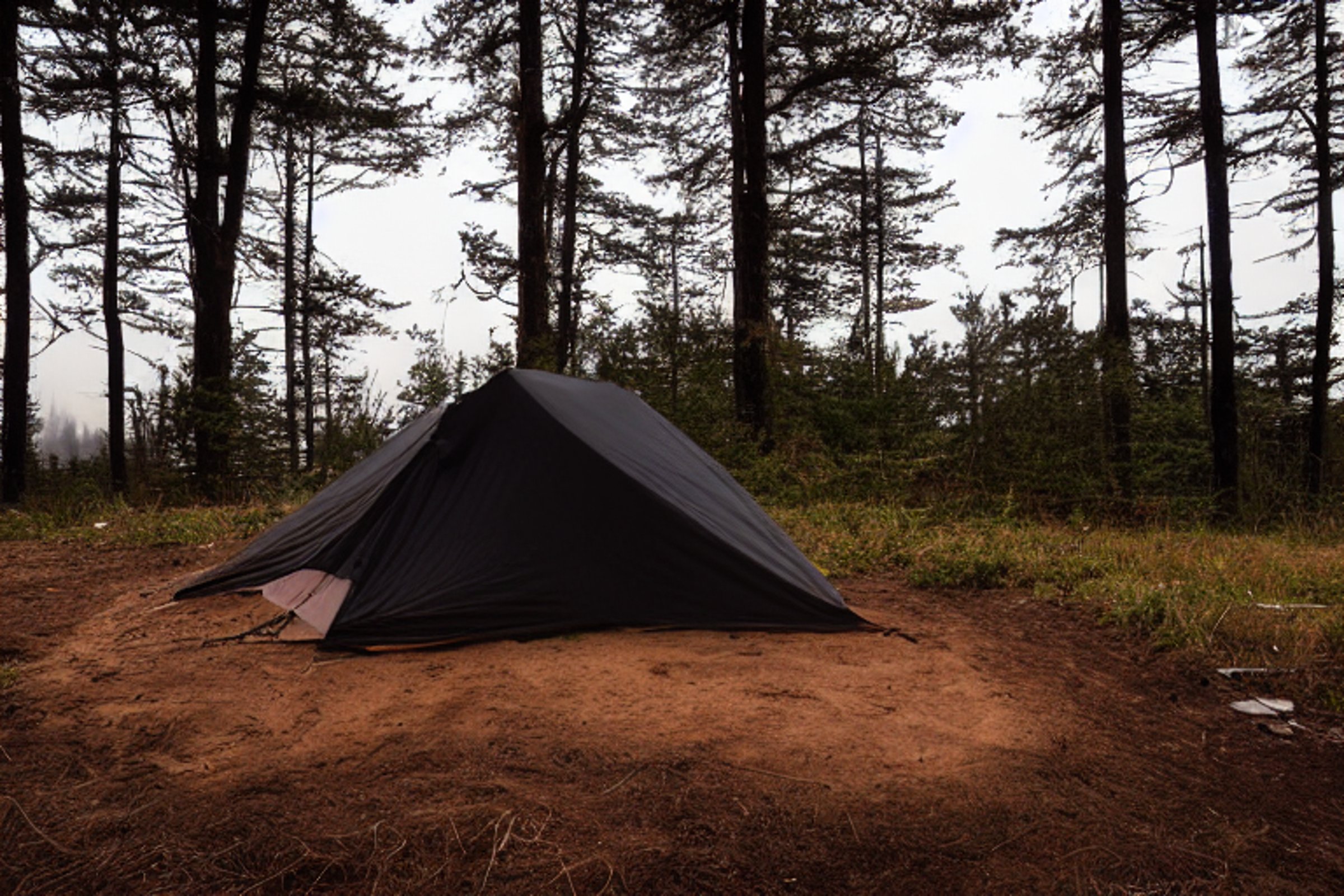 A black tent rests on a rough dirt campsite beside the dark ocean. A warm campfire glows near a large log, while a winding path fades into the fog.