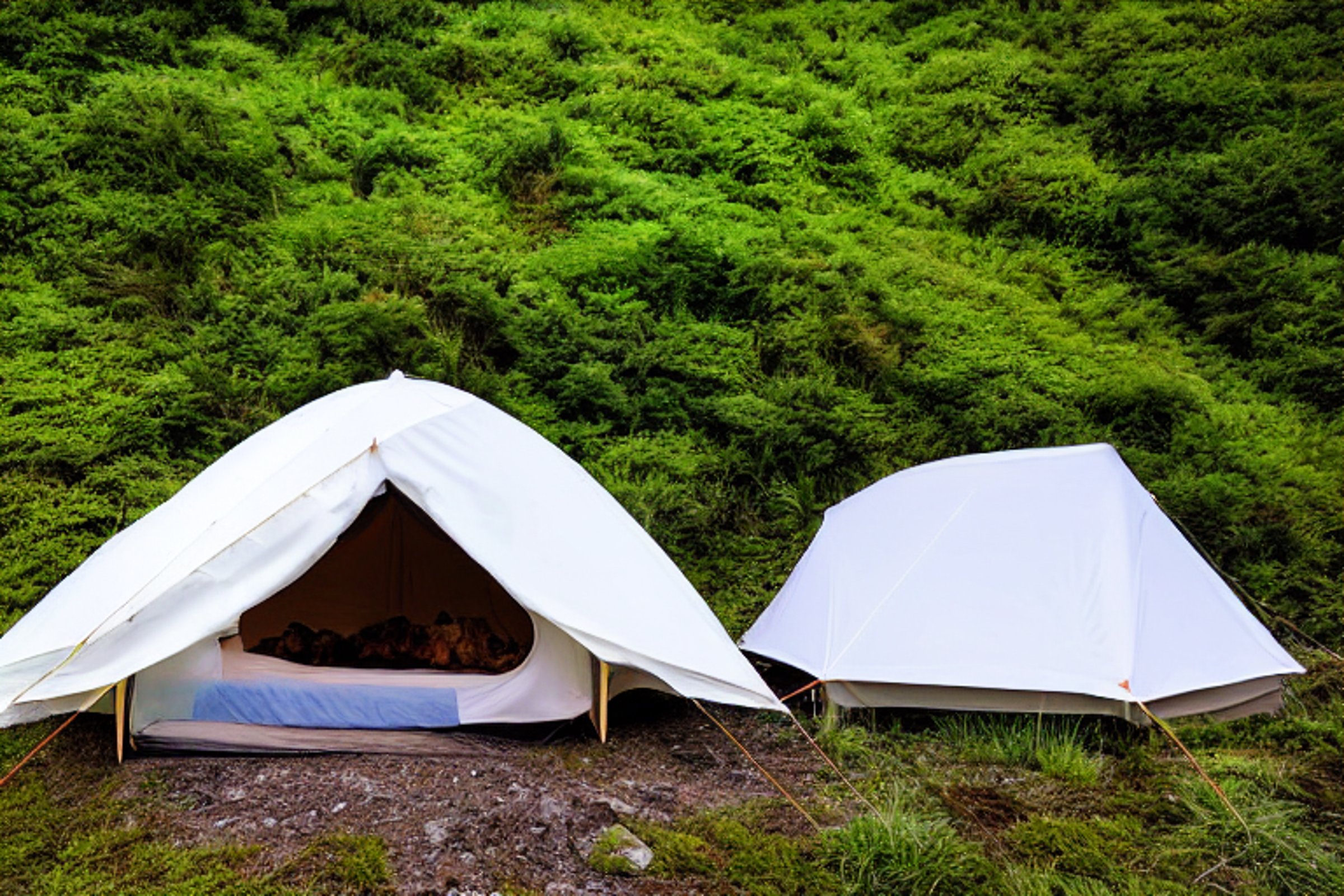 A white tent glows softly on a quiet dirt campsite in Miyajima, Japan. Tall grass and stone patches surround the tent beneath a clear, starry sky.
