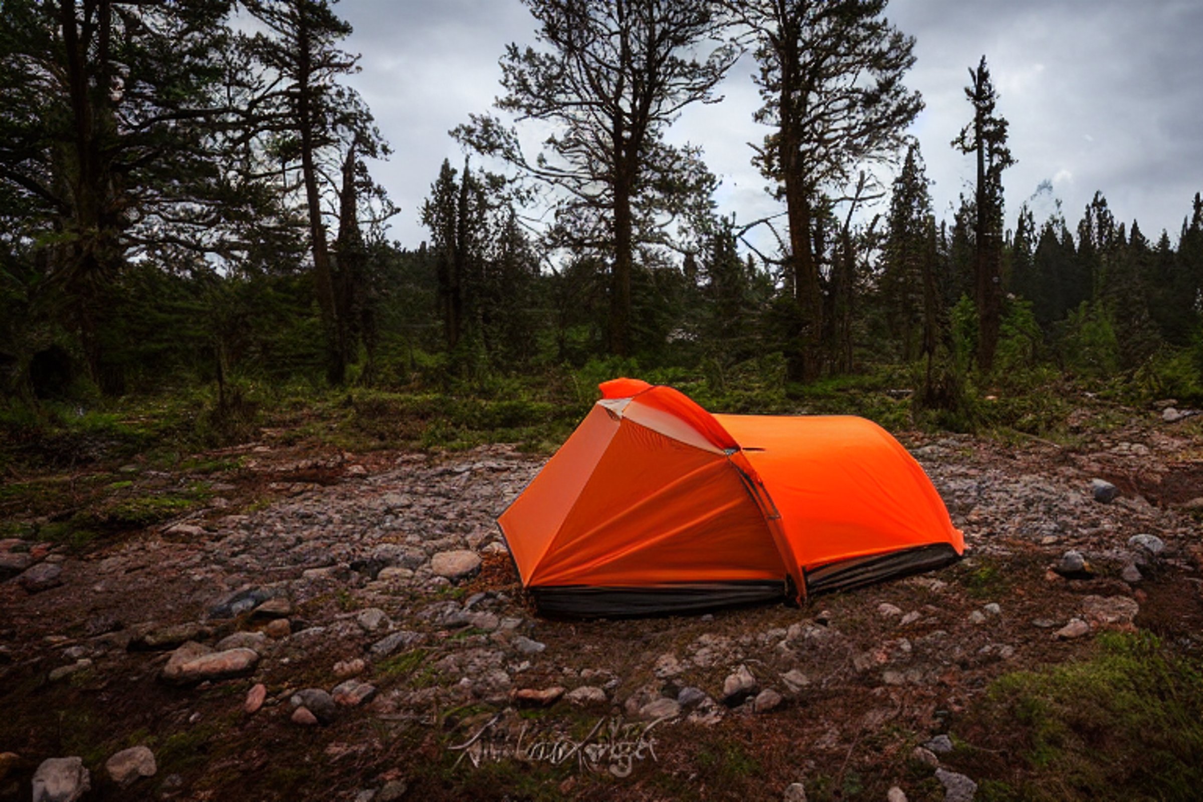 An orange tent rests on a dirt clearing in a snowy forest at night. Boulders and stones surround the camp, while a backpack and clothesline add a cozy, lived-in feel. The dark sky and soft snow create a quiet, peaceful mood.
