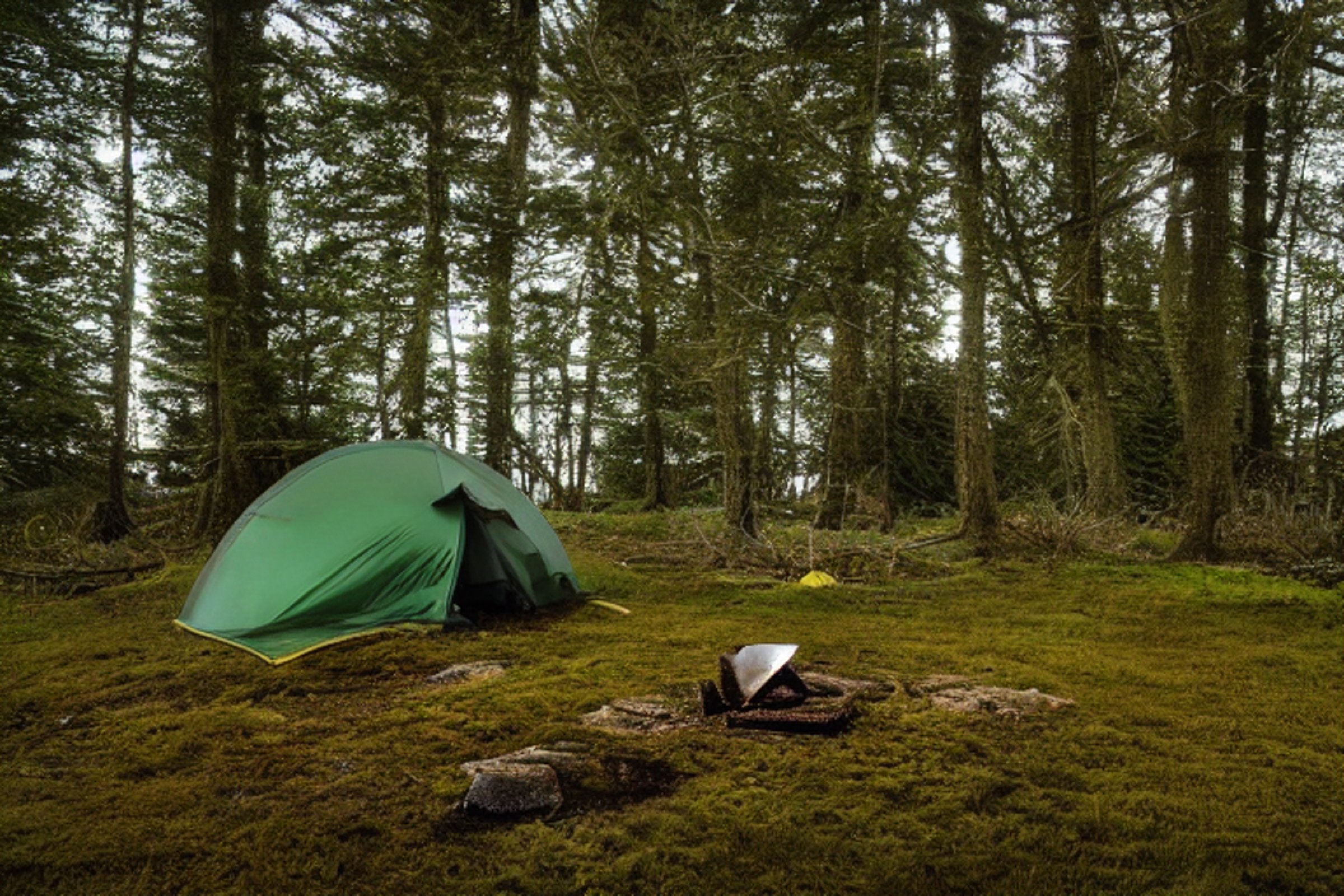 A green tent rests beside a warm campfire on a rainy beach. Mossy trees, wet leaves, and tall grass surround the campsite, while the ocean and starry sky stretch beyond. A lone deer stands quietly in the distance.