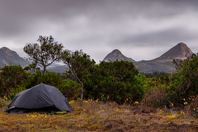A black tent rests on a paved campsite beside a dirt patch. Rainy weather, leafy bushes, and small trees create a cool, quiet mood, while a mountain rises in the background.