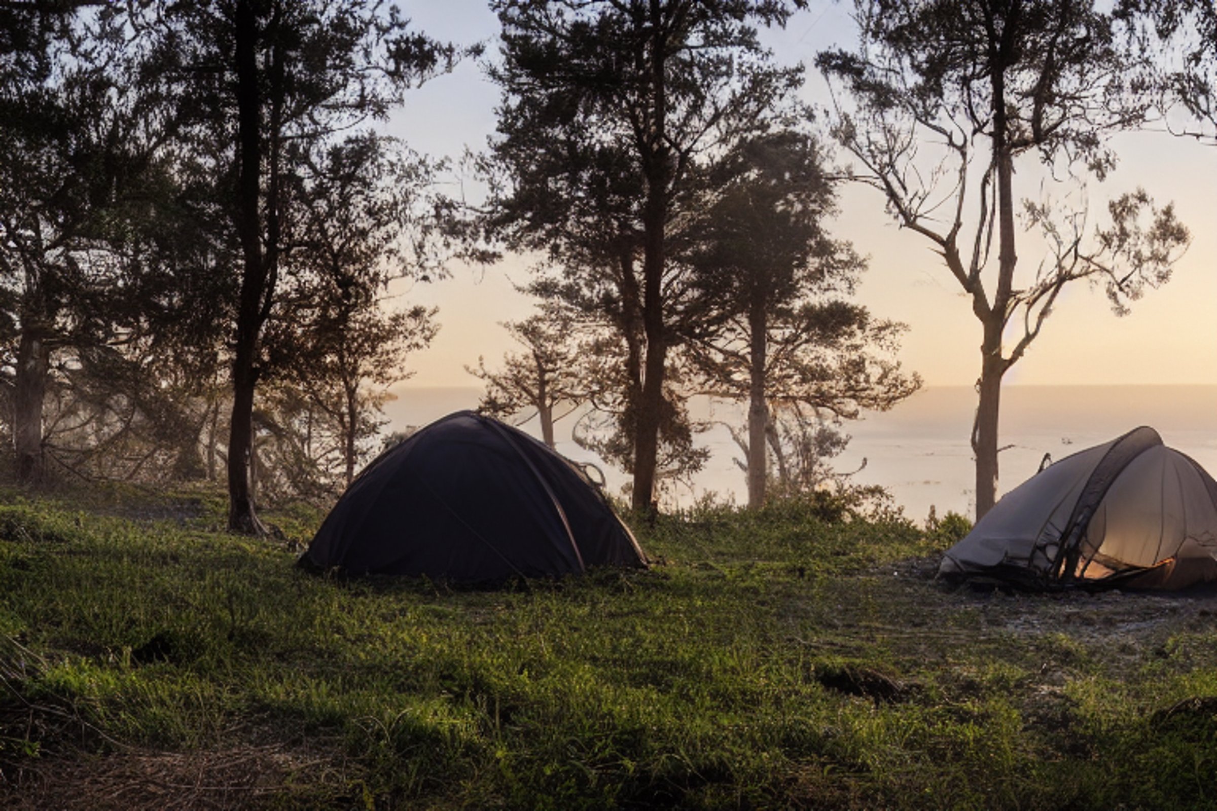 A black tent rests on a quiet dirt campsite near San Diego Beach. Soft sunrise light shines through the fog, trees, and a large rock. Clothes sway gently on a nearby clothesline.