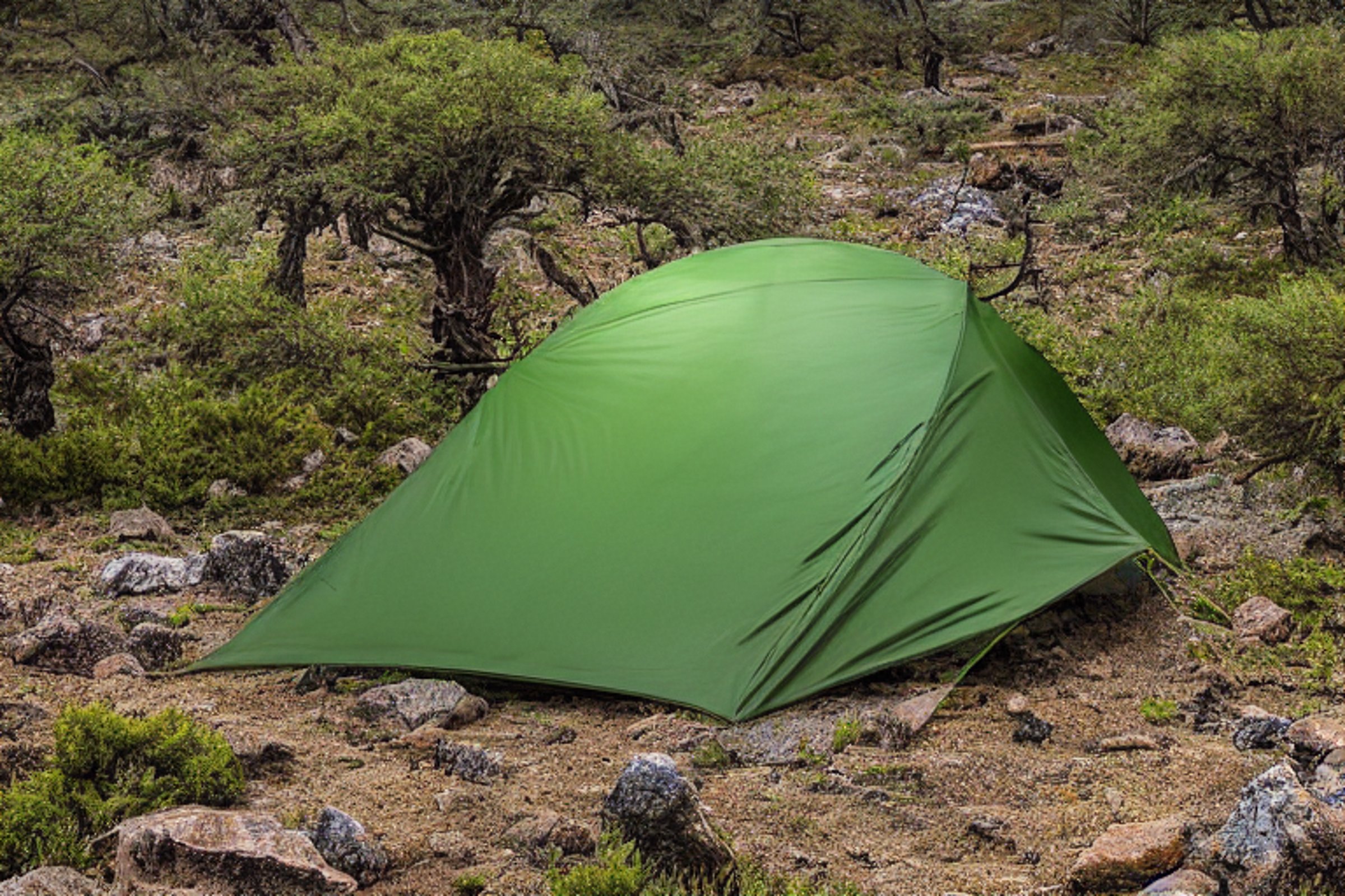 A green camo tent rests on a snowy dirt campsite beneath a sky full of stars. Mossy trees, large stone slabs, and scattered rocks surround the quiet hiking path.