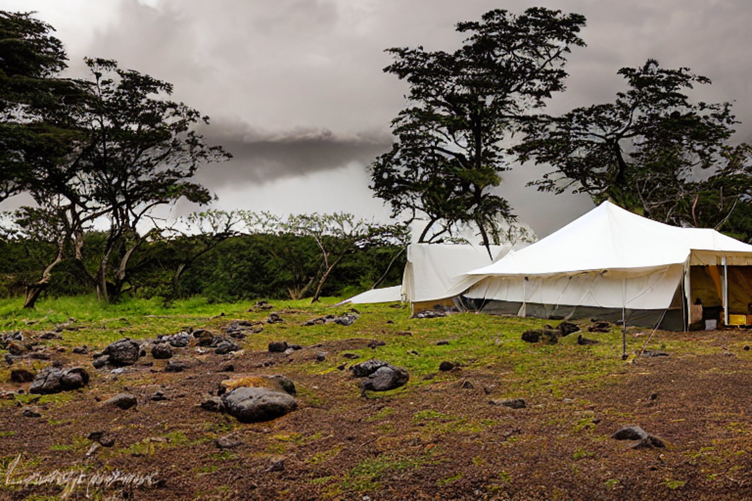A white tent rests on a paved campsite in Hawaii as storm clouds gather at dusk. Stone slabs and a dirt path surround the camp, while a deer stands quietly in the distance.