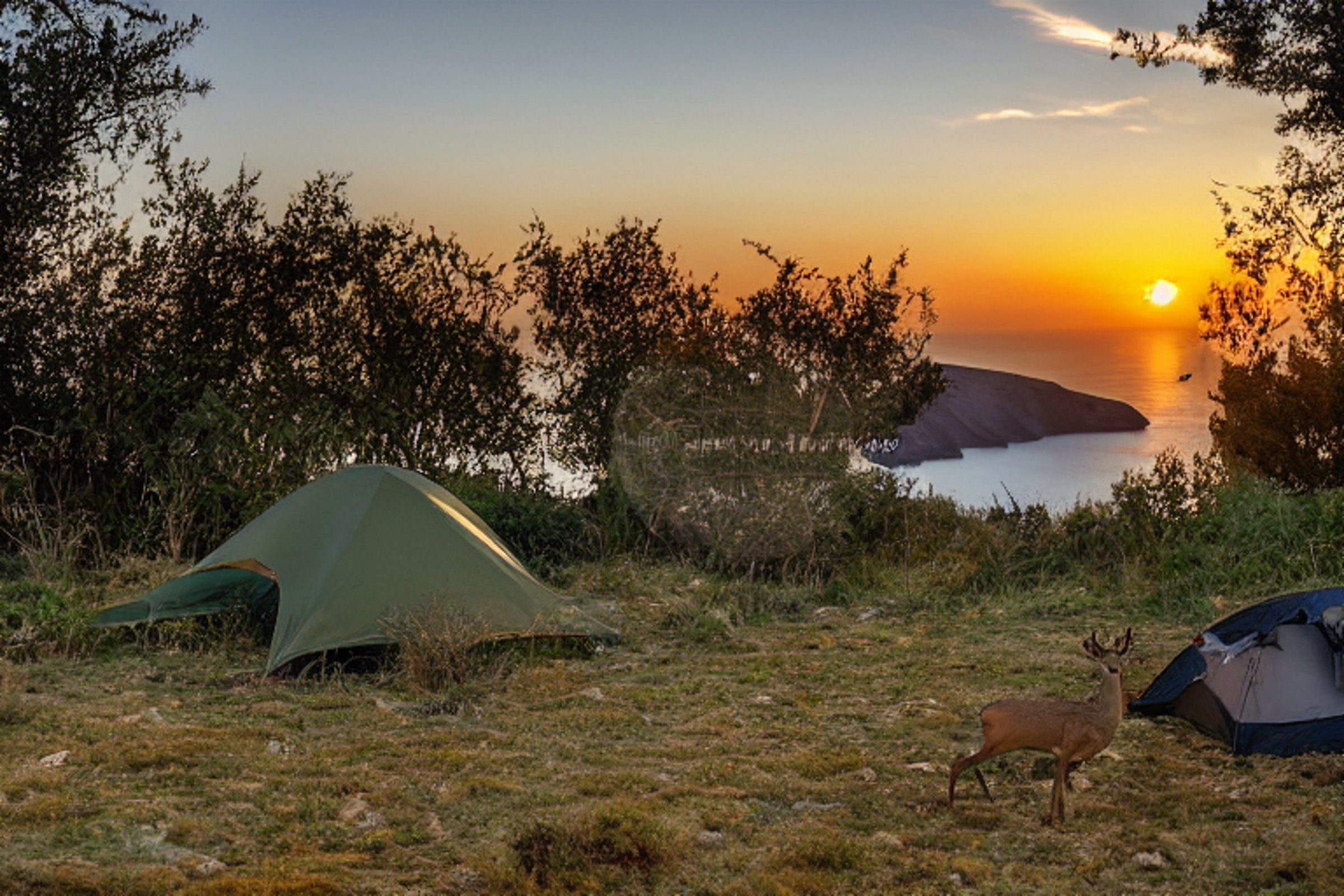 A forest-green tent rests beside a paved campsite in sunny Santorini. Warm sunset light shines over the rocky ground, while a deer stands quietly in the distance. Clothes sway on a nearby line, and a large rock frames the peaceful scene.