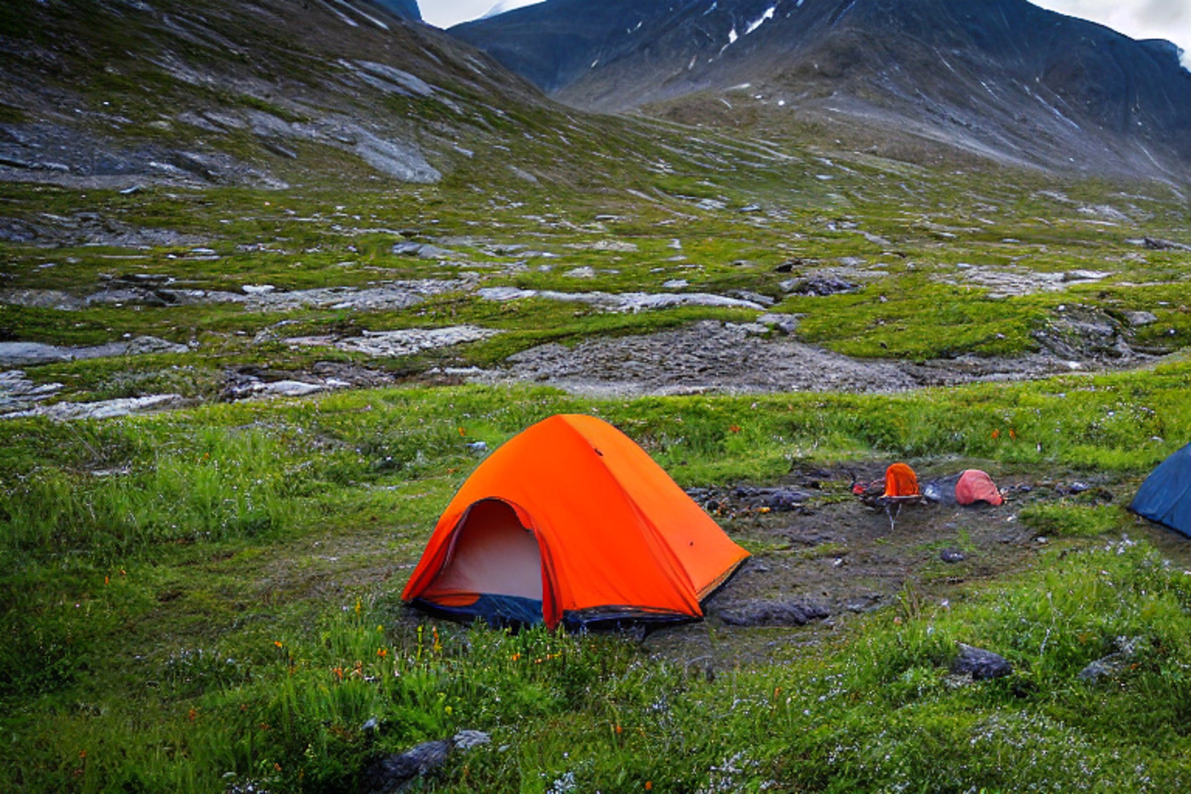 A gray and orange tent rests on a dirt clearing in the Valley of Flowers National Park. Tall grass, camping chairs, and distant hikers surround the peaceful campsite as dusk settles over the valley.
