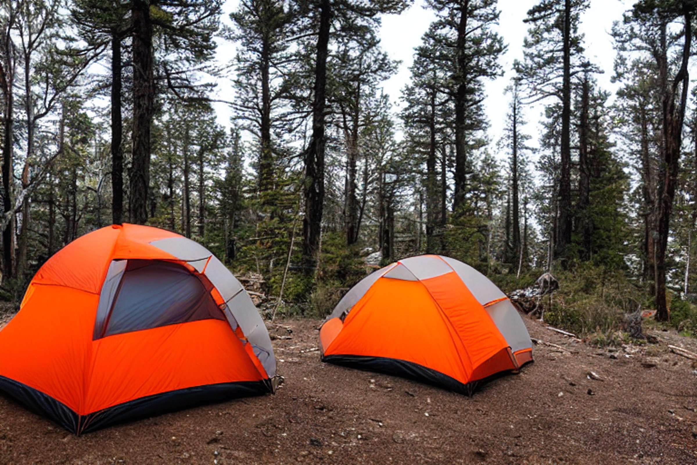 A gray and orange tent rests on a quiet paved campsite near the Grand Canyon. Fog drifts over the grassy, rocky ground, while a warm light glows inside the tent. A large log sits beside the campfire area.