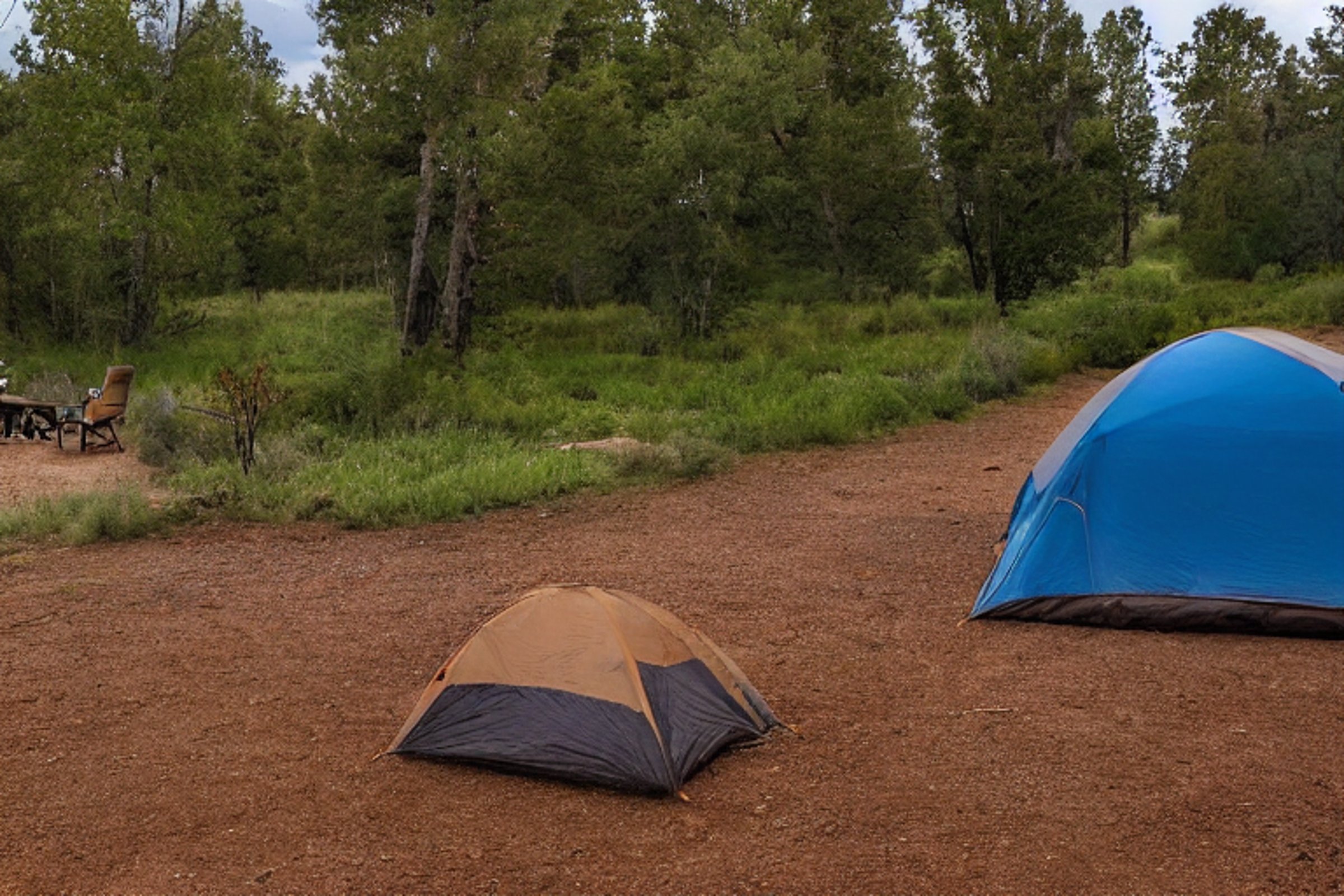 A cozy brown tent rests on a quiet dirt campsite in Capitol Reef National Park. Gravel patches, green ferns, and camping chairs surround the site, while deer wander in the distance beneath the starry night sky.