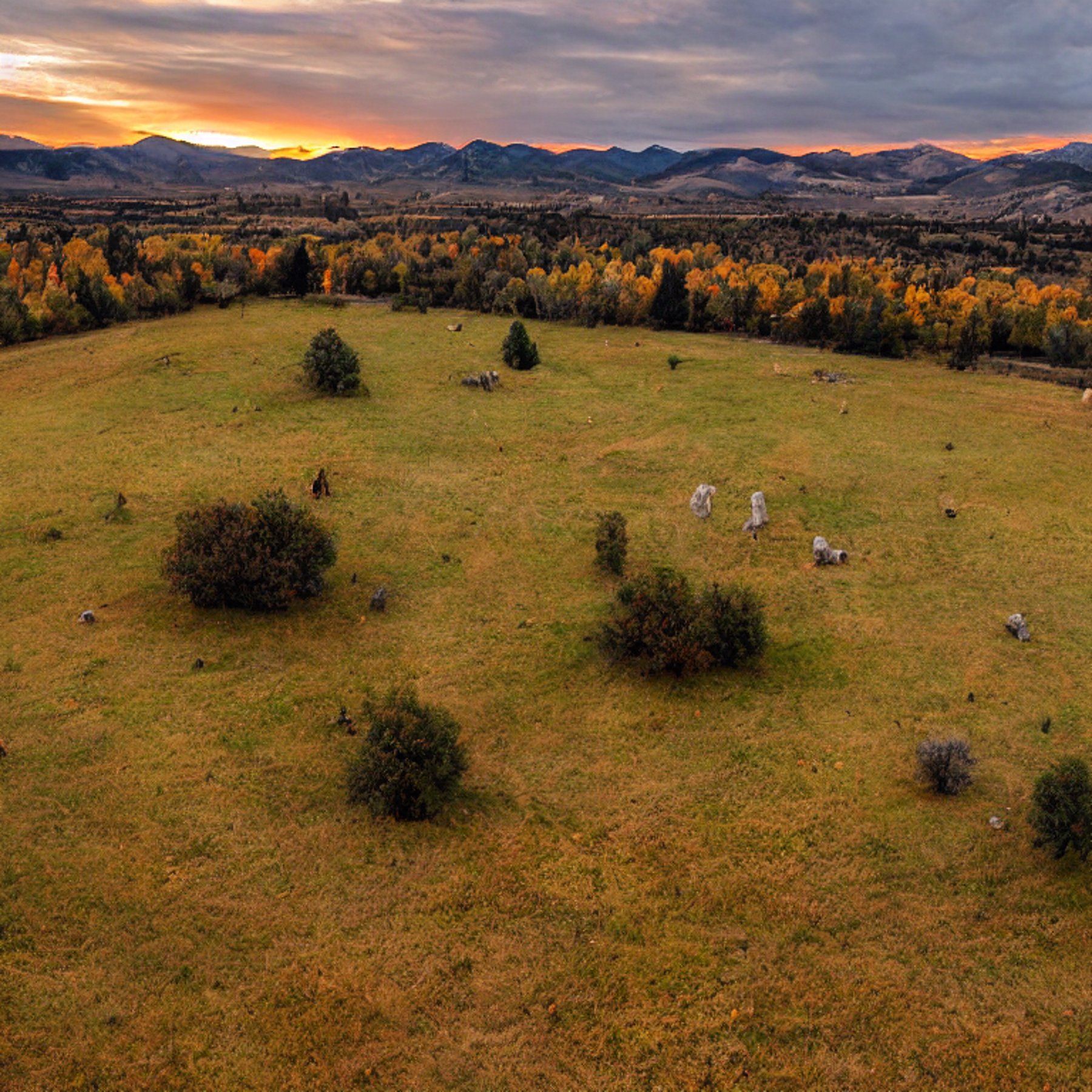 A green camo tent rests on a dirt patch at a quiet paved campsite. Tall grass, golden fall trees, and large stone slabs surround it, with rolling Idaho hills in the distance. Soft rainy light gives the scene a calm, wild feeling.