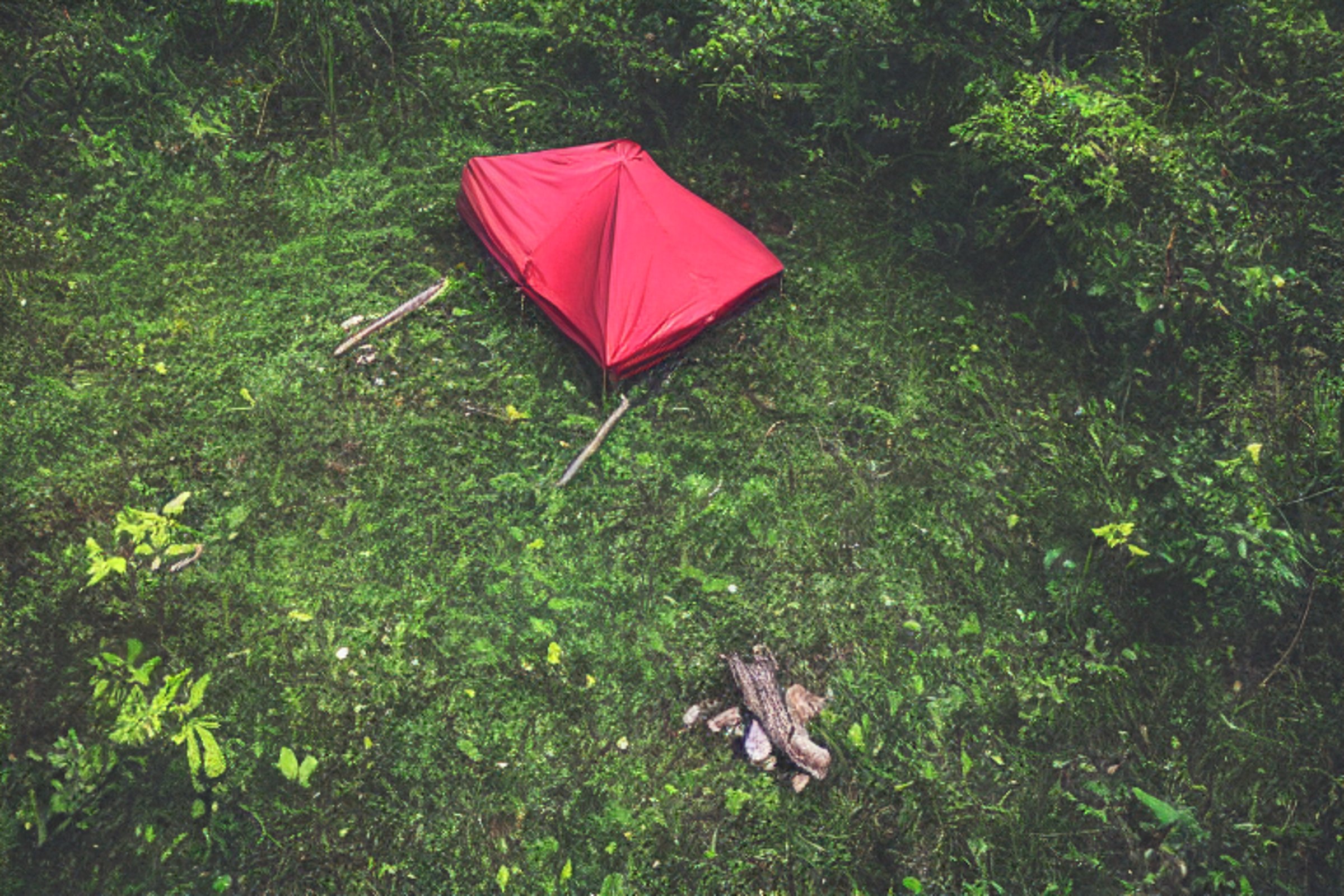 A bright red tent sits on a quiet dirt campsite beneath a clear night sky. A warm campfire glows at the center, with a mountain rising in the background. Bushes with berries and scattered twigs add a wild, peaceful touch.
