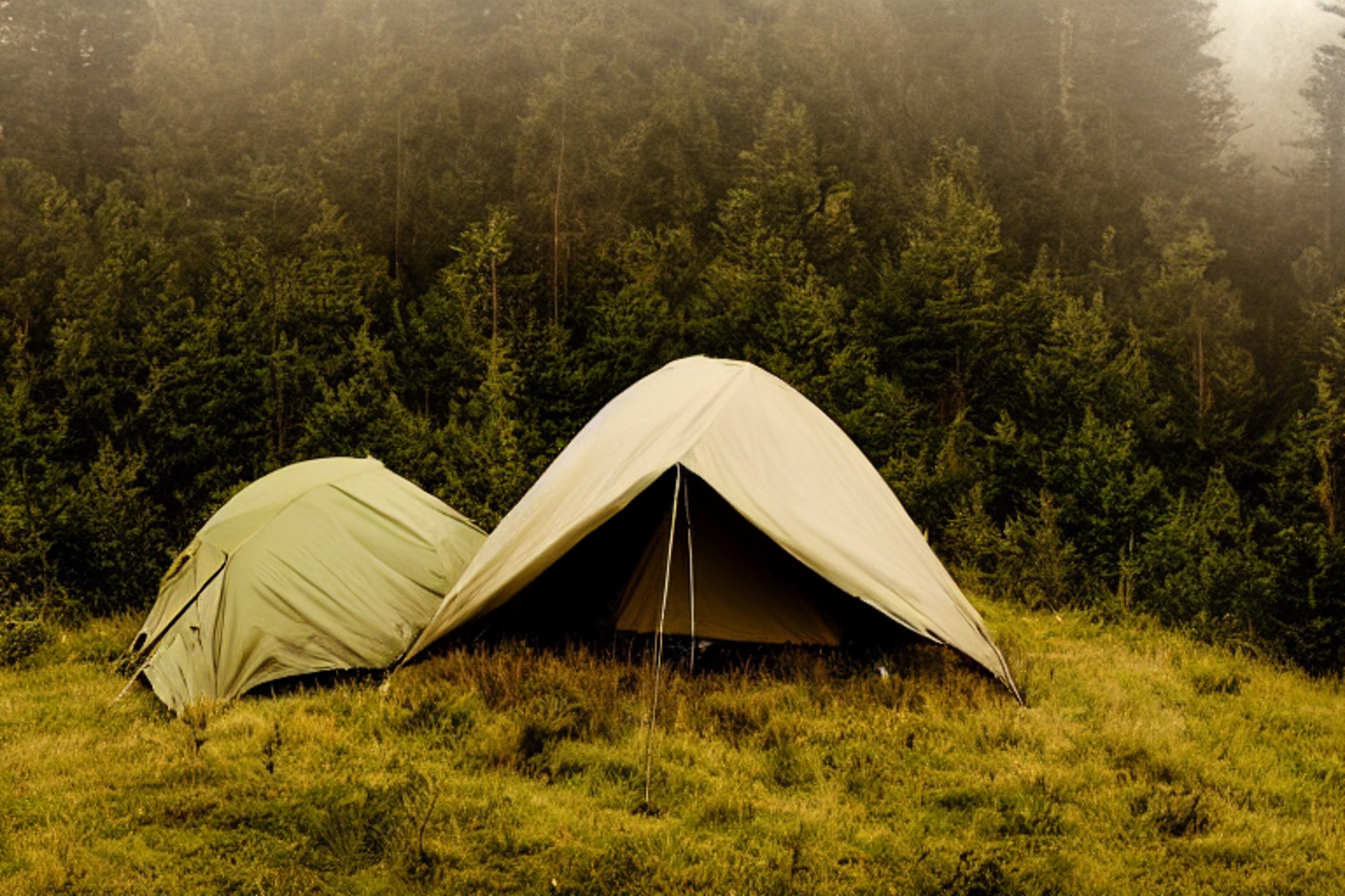 A green tent rests on a quiet mountain campsite as the sun sets behind rolling hills. Fog drifts through the forest, while a picnic table and camping gear sit on the grassy dirt clearing.