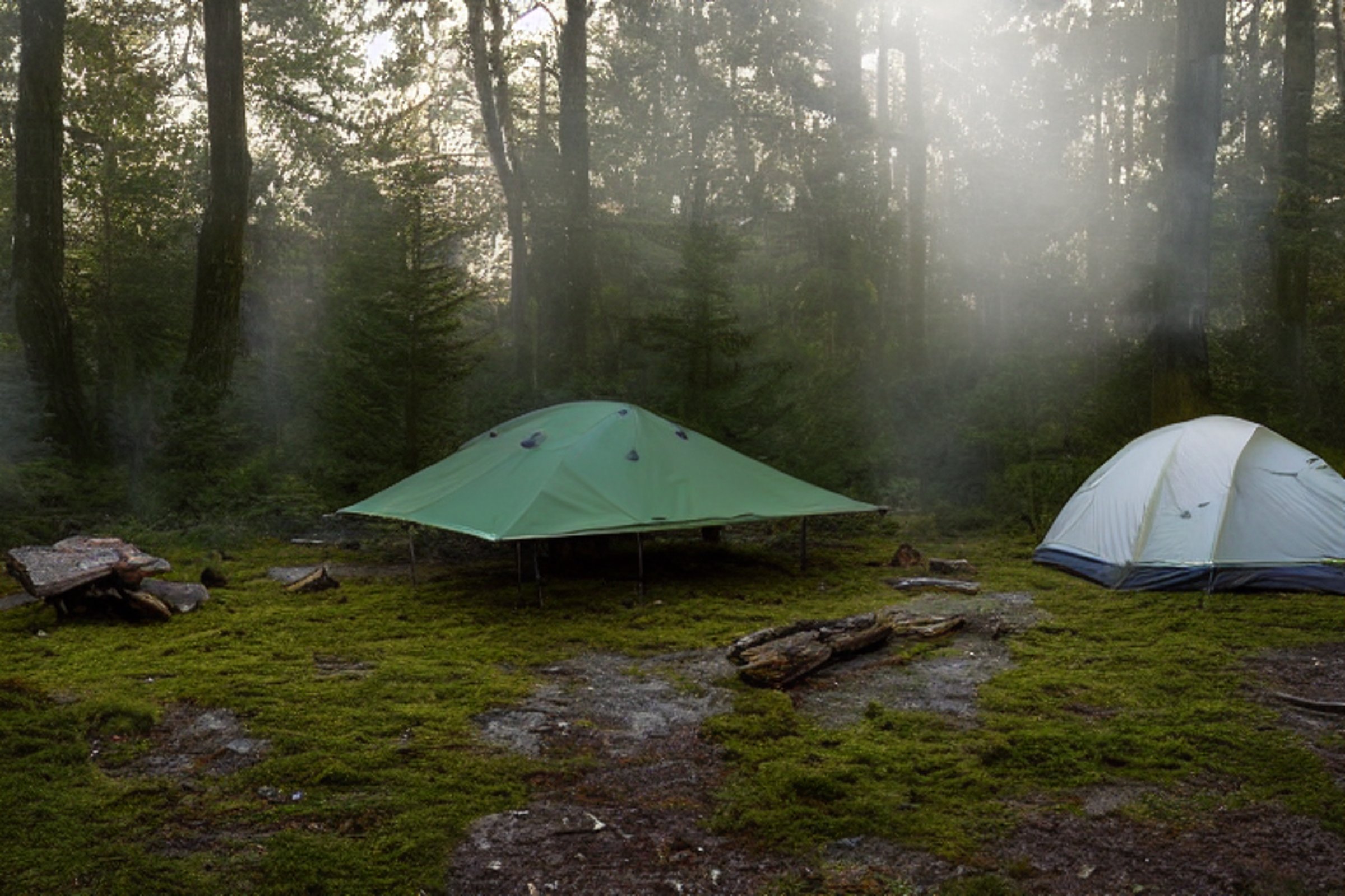 A forest-green tent rests beside a glowing campfire on a quiet dirt clearing. Moss-covered trees, thick bushes, and a picnic table surround the campsite, while soft golden light and gentle fog create a magical mood. A fallen twig adds a natural touch.